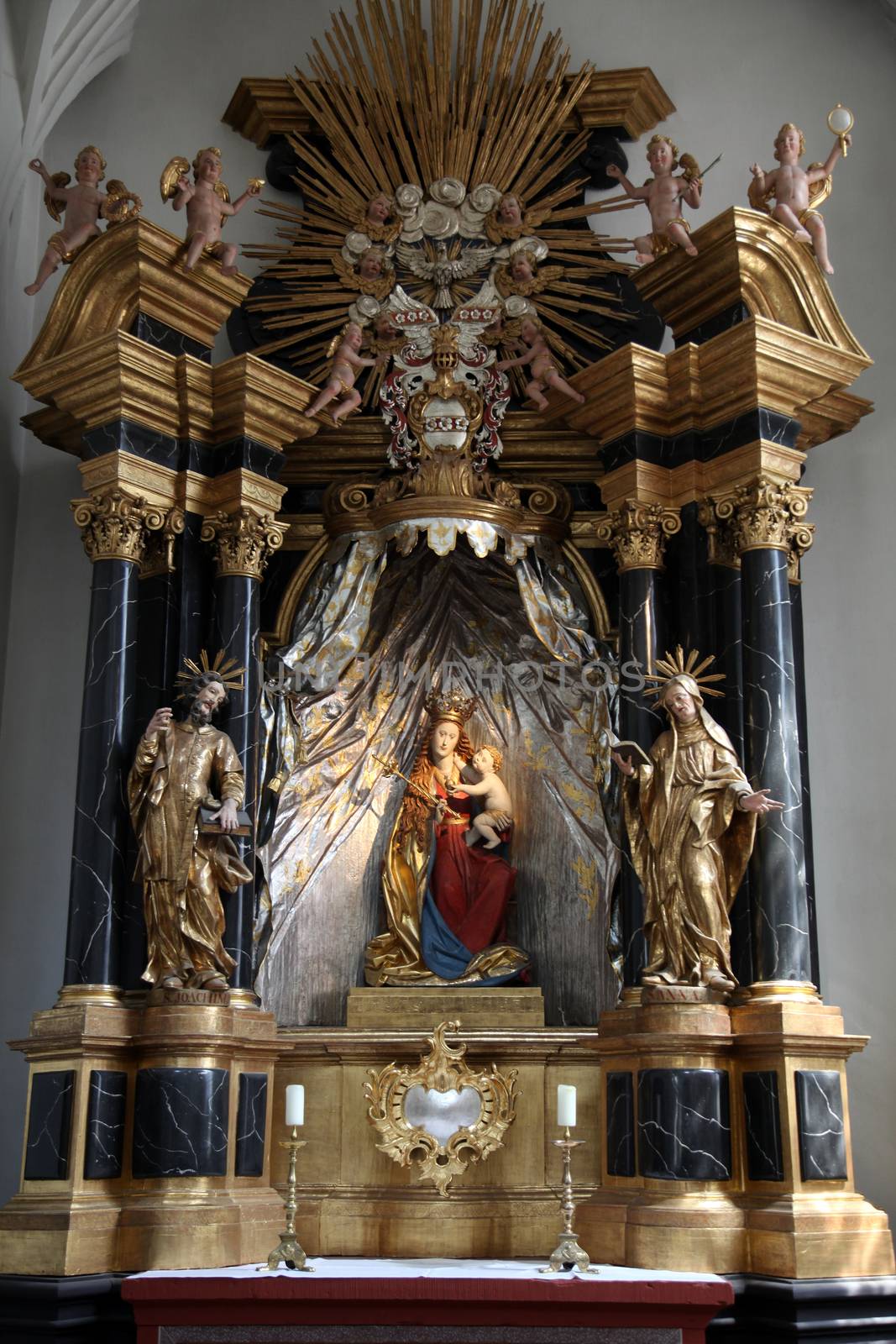Madonna with child Jesus, altar in the Neumünster Collegiate Church in Wurzburg, Germany