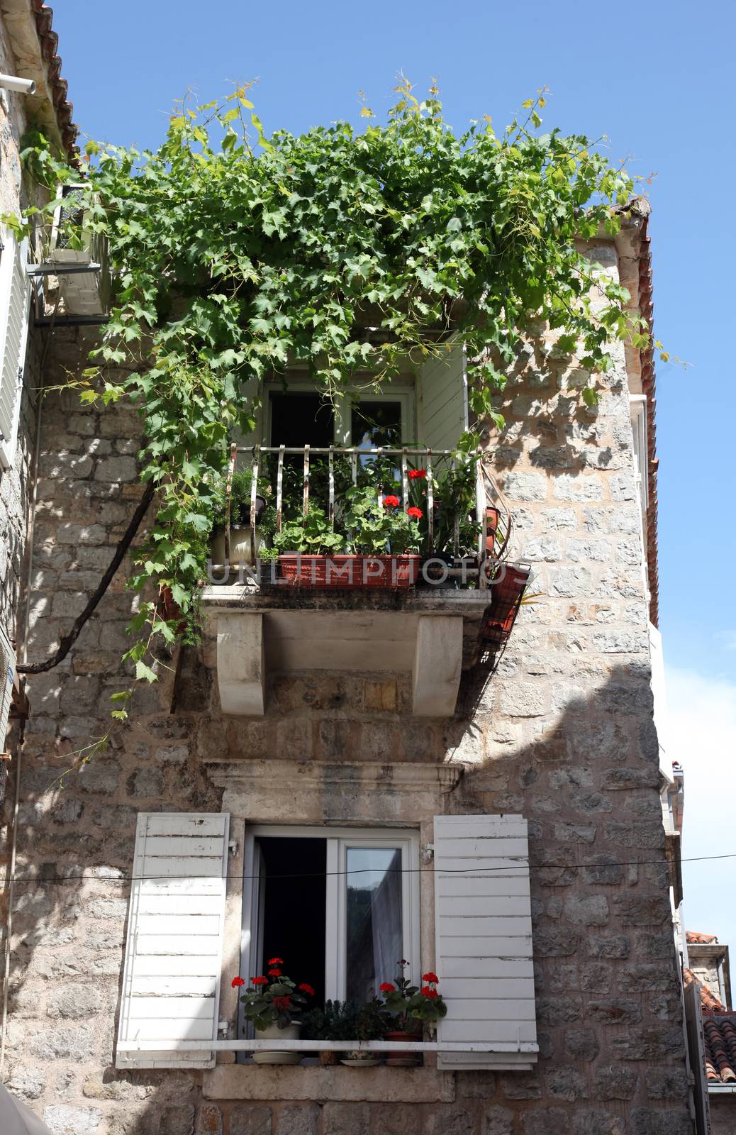 Mediterranean stone medieval house with window shutters and pot plants, Budva, Montenegro