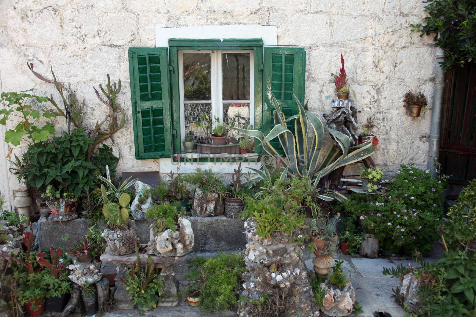 Mediterranean house with green door and flowers in Prcanj, Montenegro