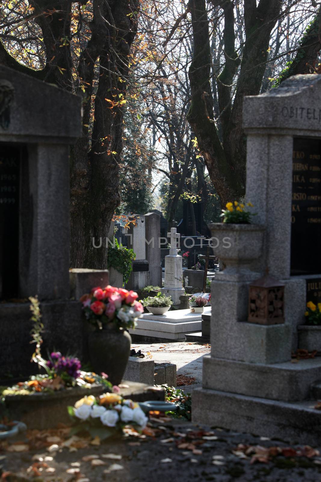 Zagreb Mirogoj cemetery by atlas