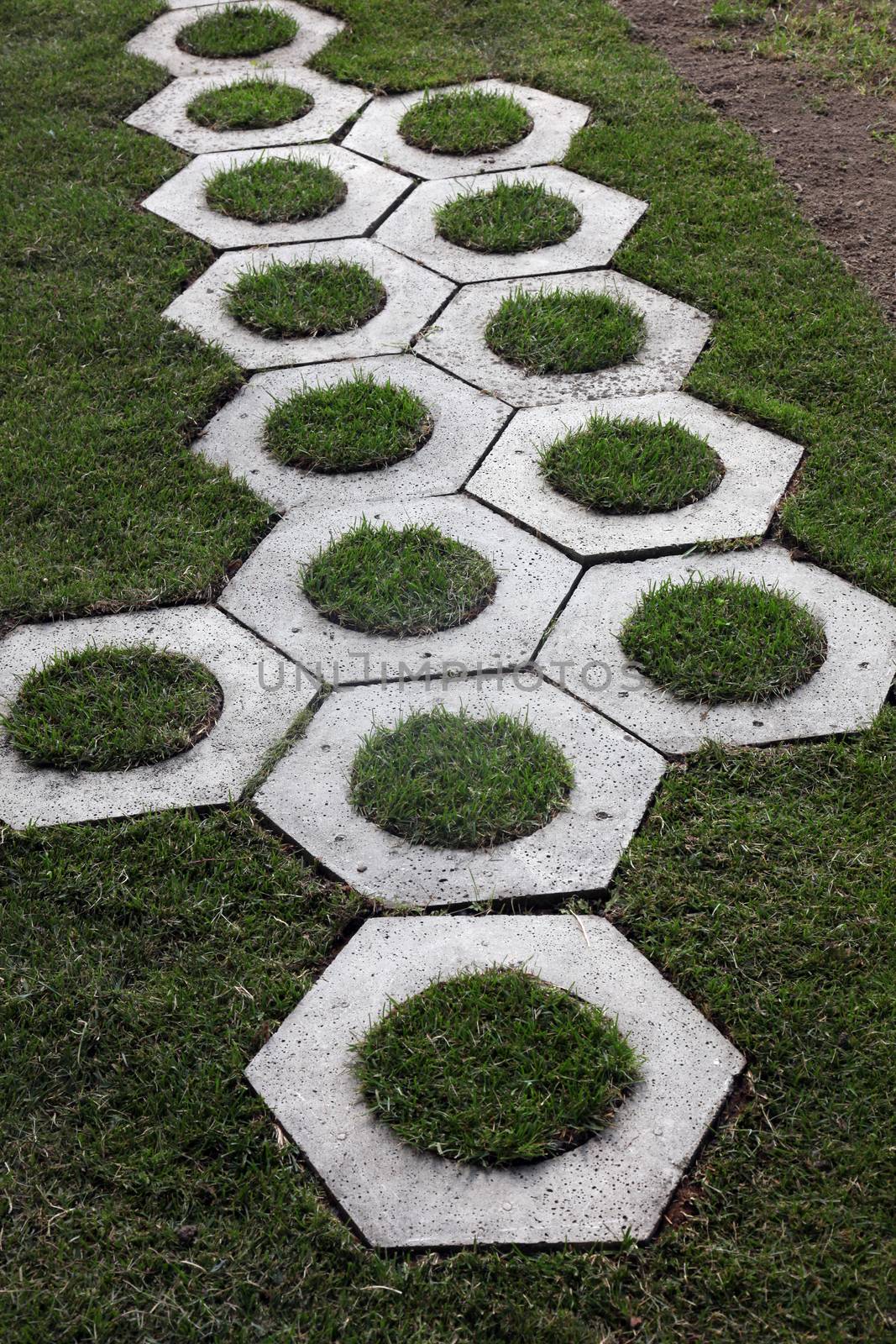Walkway on the grass