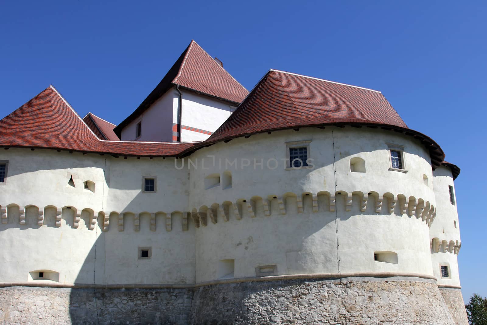 Castle Veliki Tabor, Croatia by atlas