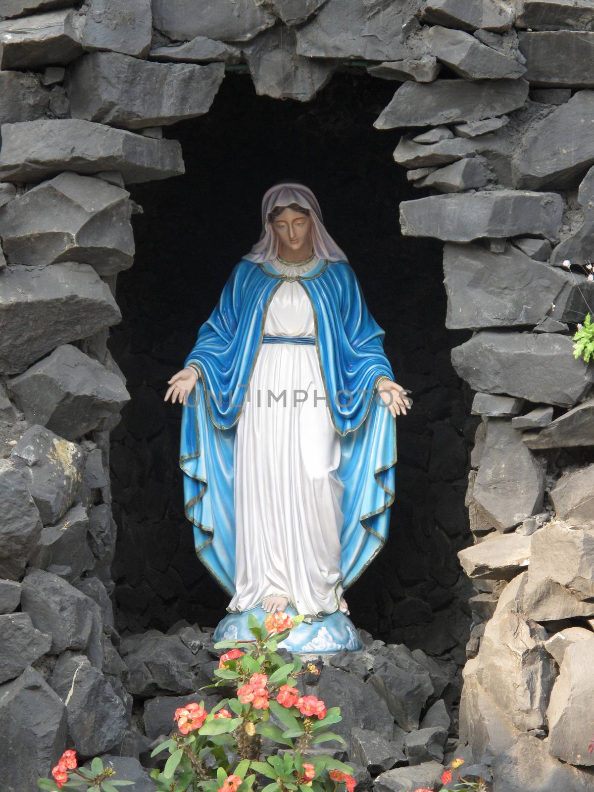 Our Lady of Lourdes by atlas