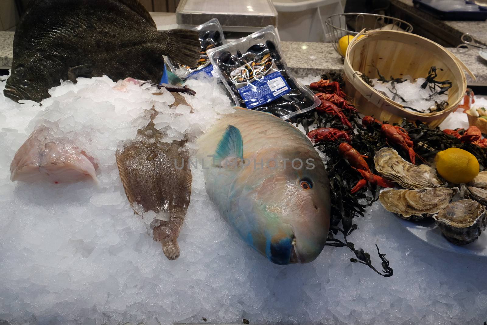 Fish and seafood prepared for sale in Nordsee restaurant.  Nordsee is a German fast-food restaurant chain specialising in seafood. Graz, Styria, Austria