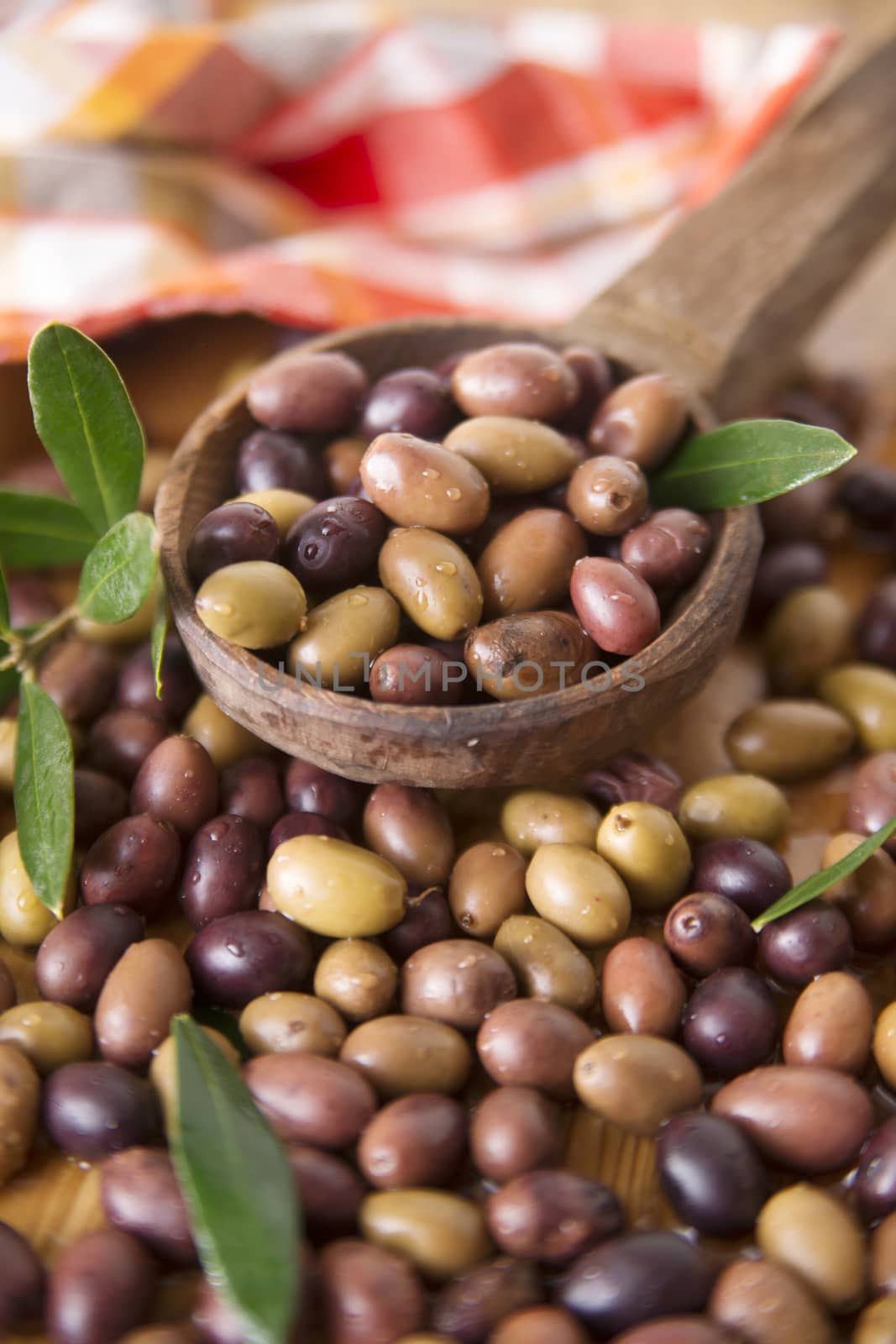 Aperitif with mixed olives in brine of Tuscany Italy