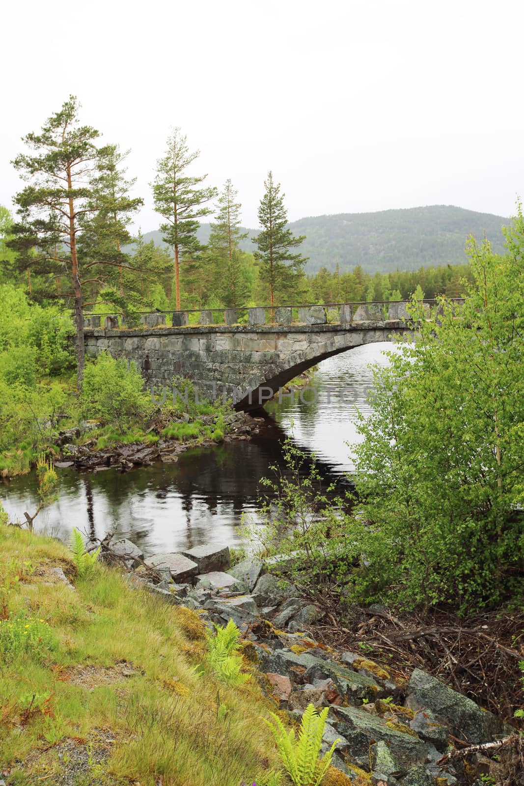 View on Tinnsja lake, bridge and forest at nasty summer day