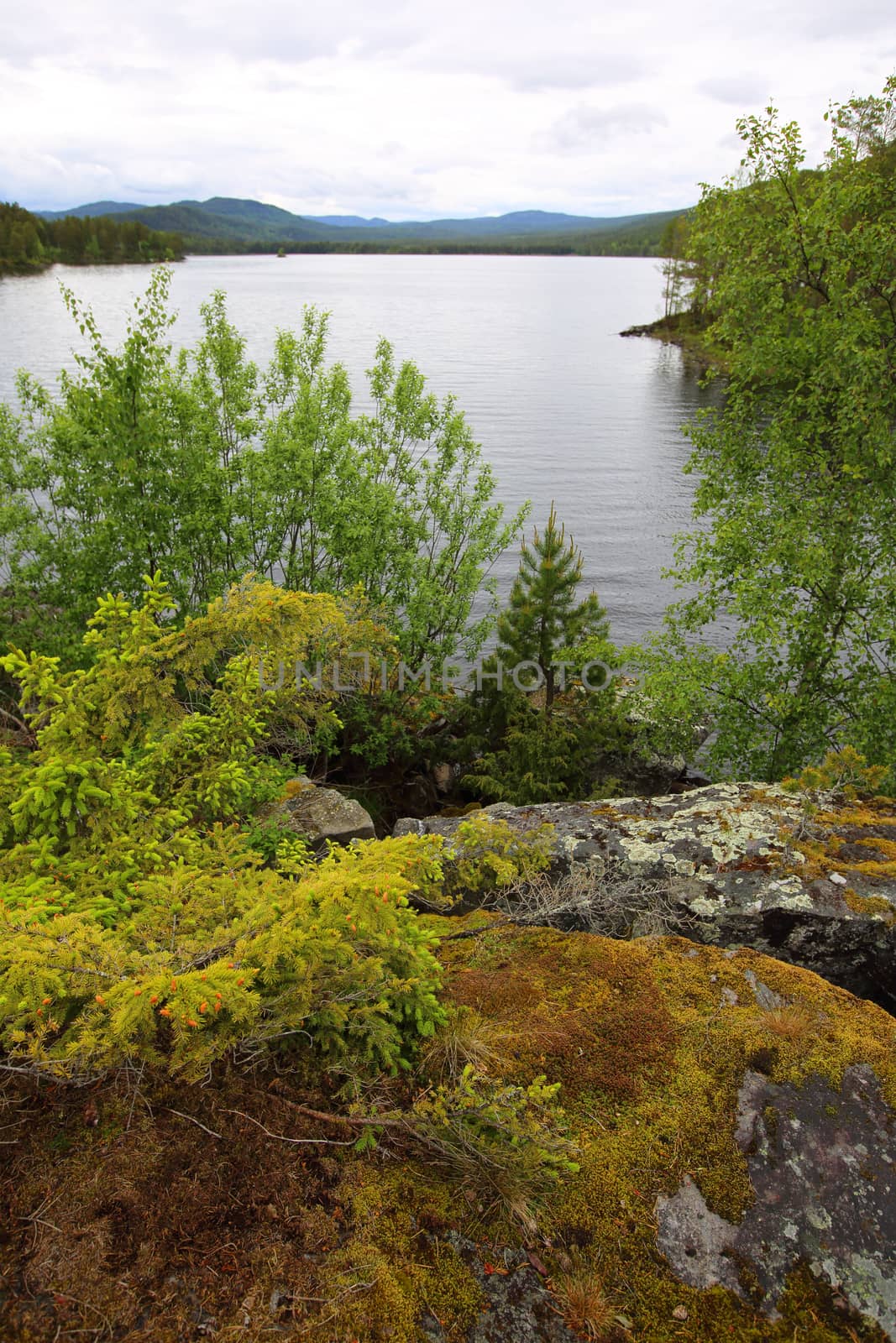 View on Tinnsja lake and forest at nasty summer day