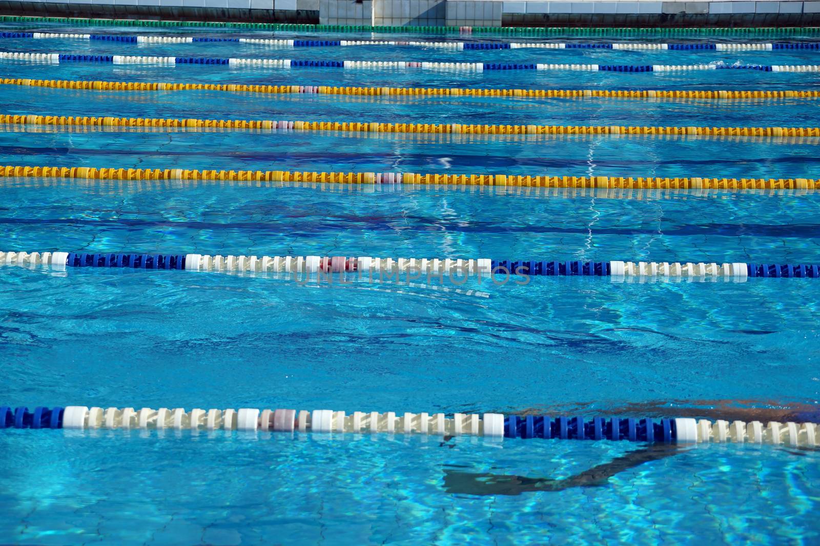 Dividers of paths in the big outdoor swimming pool