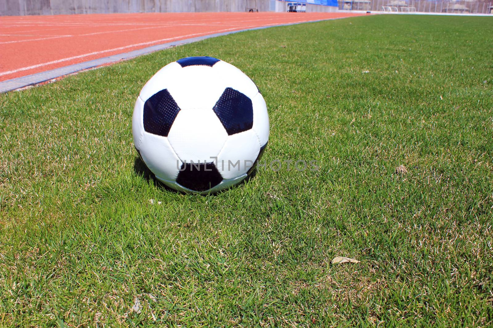 Football on a grass lawn of sports stadium