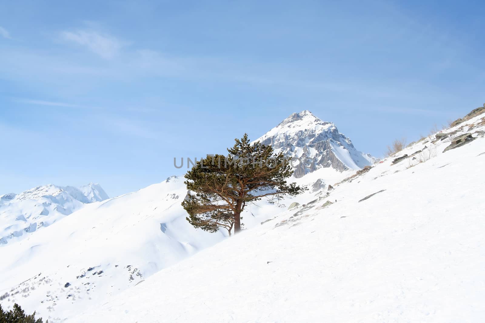 In the mountains of Dombai, Caucasus