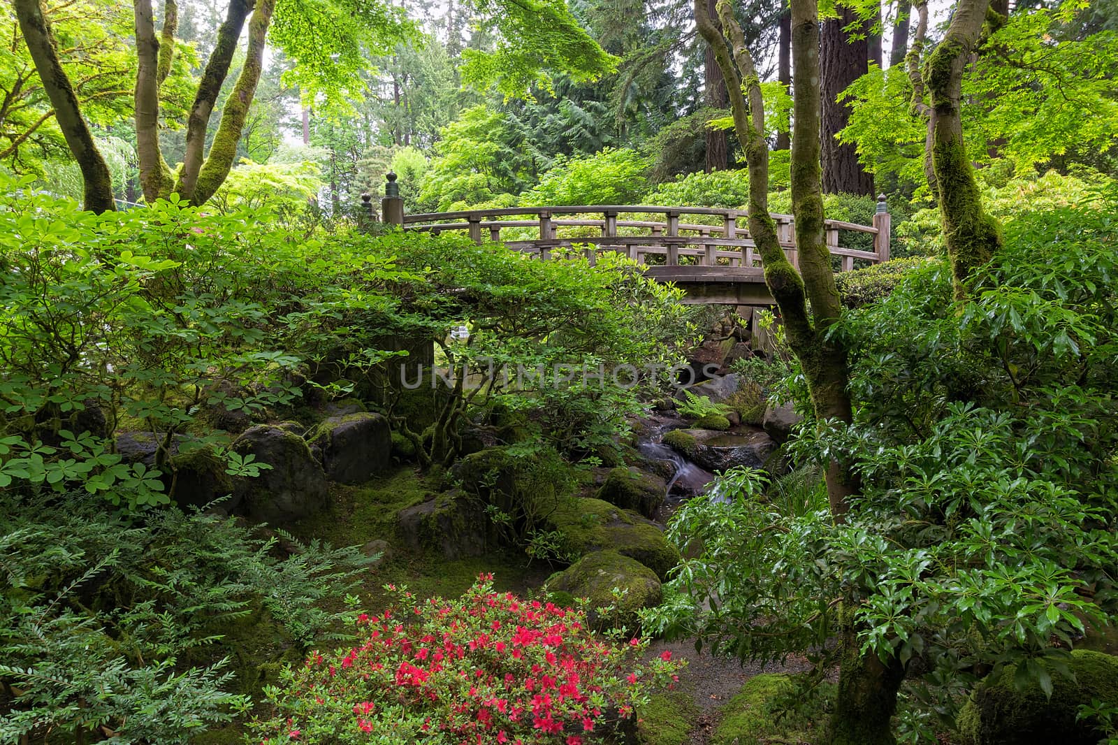 Bridge in Japanese Garden by jpldesigns