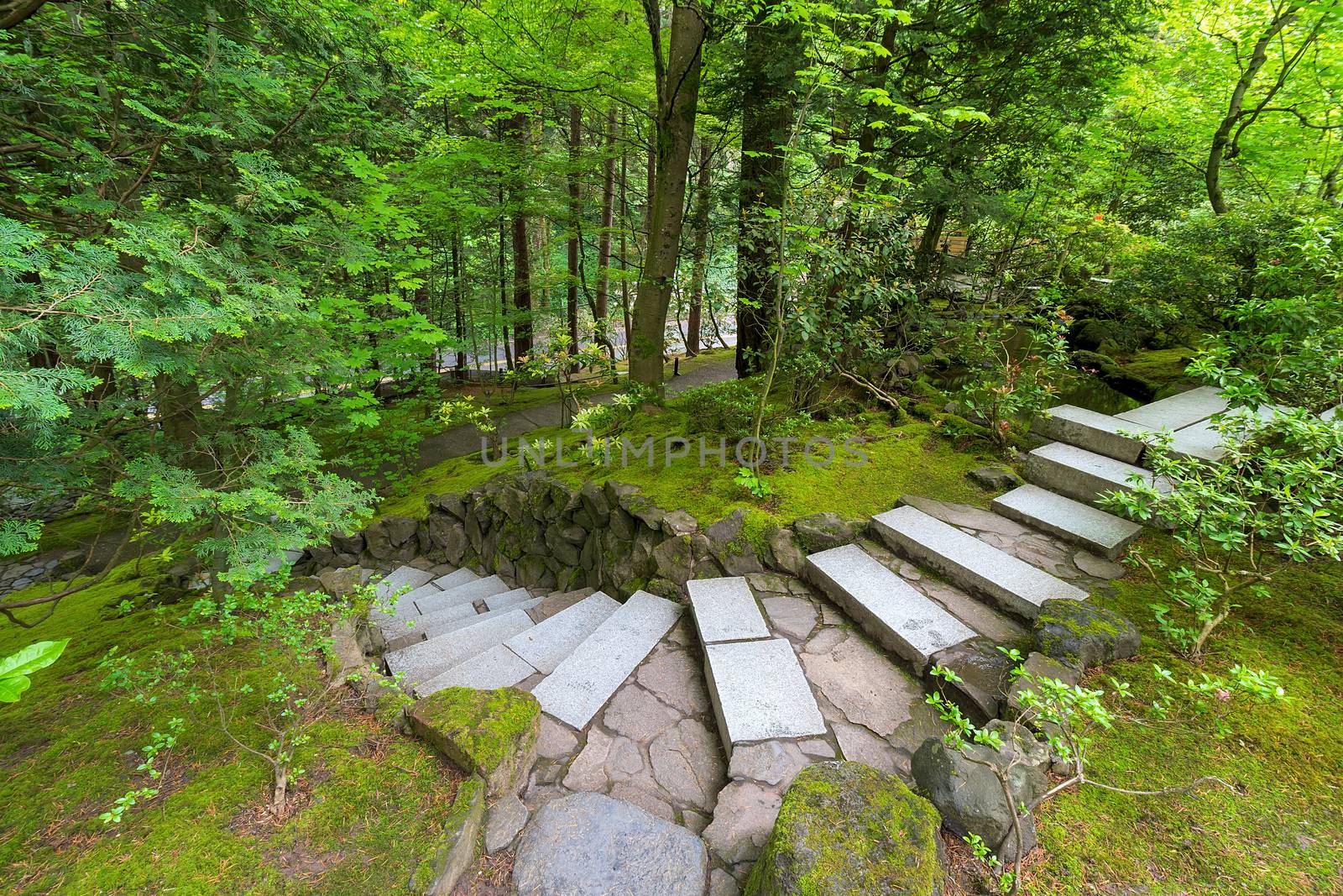 Granite stone stair steps at Japanese Garden in lush green landscape