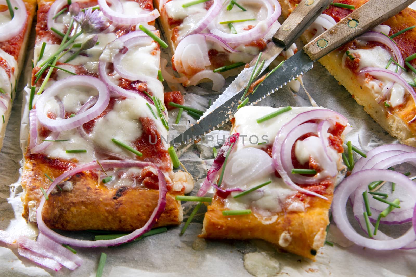 Freshly baked pizza with red onion and mozzarella 