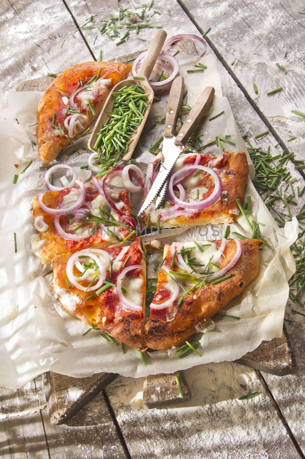 Pizza with onion  by fotografiche.eu