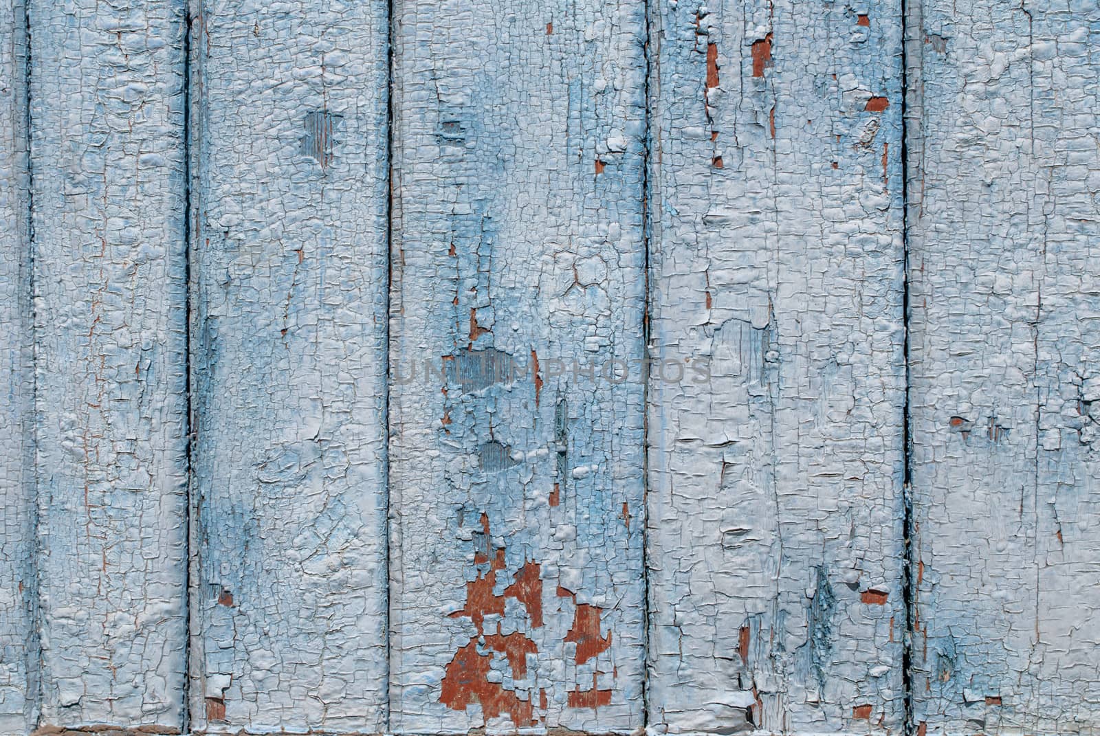 wood planks with remnants of old paint, great background or texture for your project by uvisni