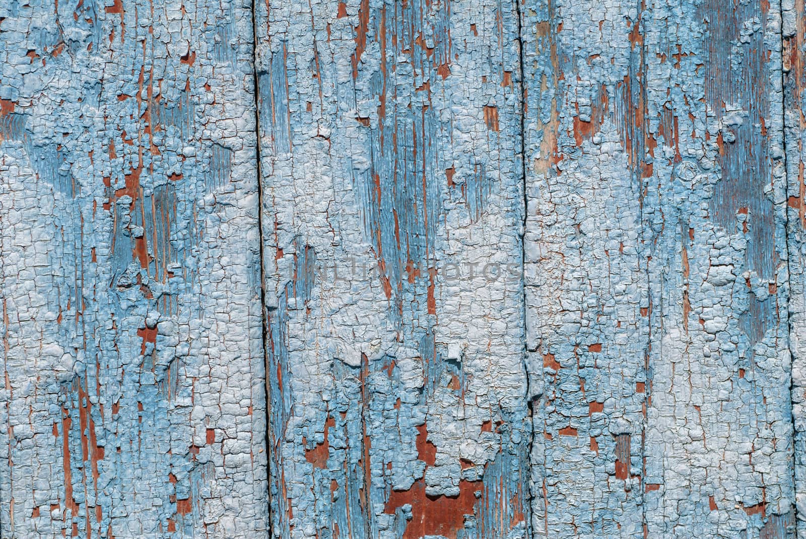 texture of wooden surface with remnants of old paint that has dried and cracked under the influence of weather