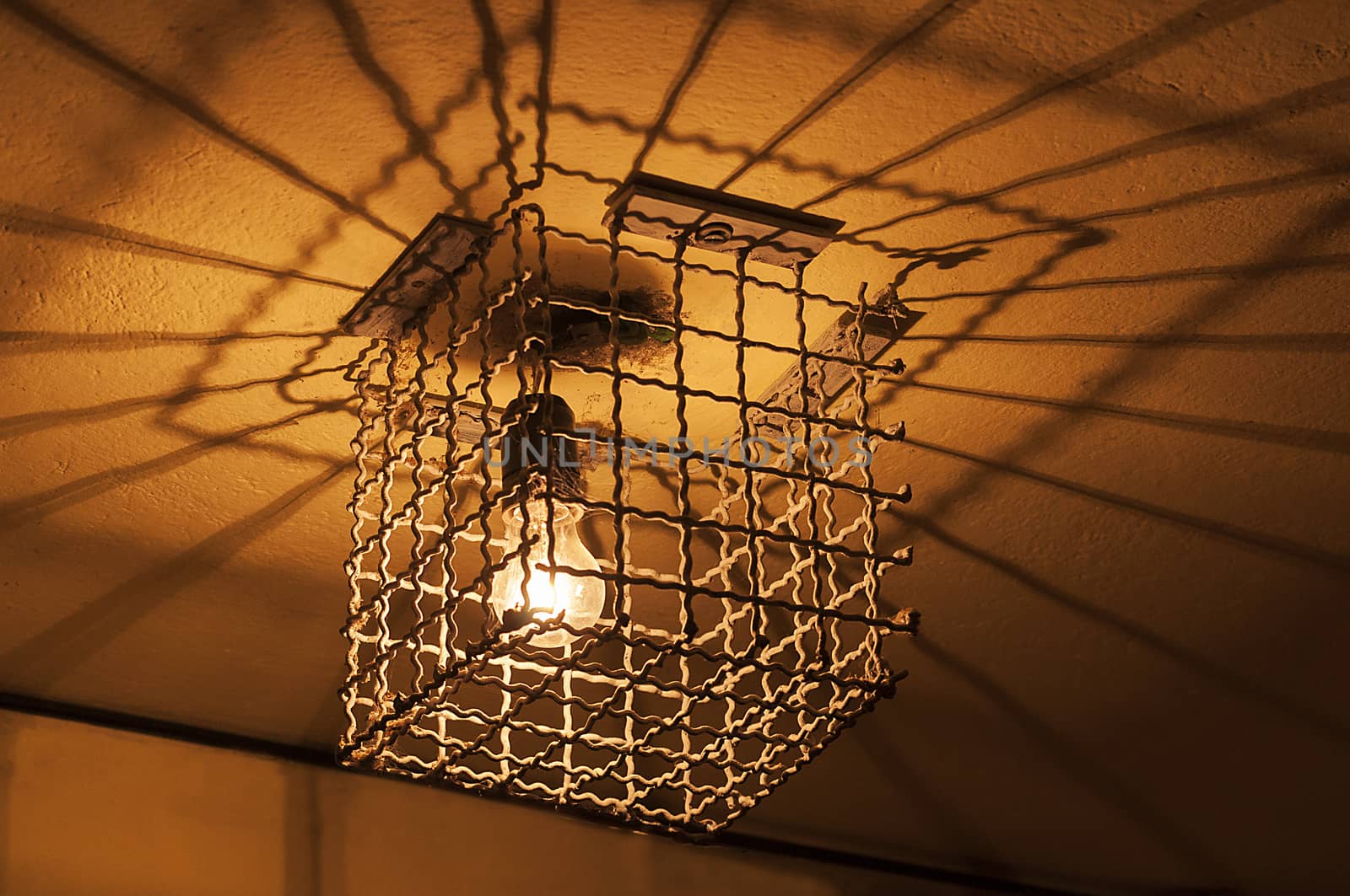 Light bulb trapped in a cage. Anti-theft protection