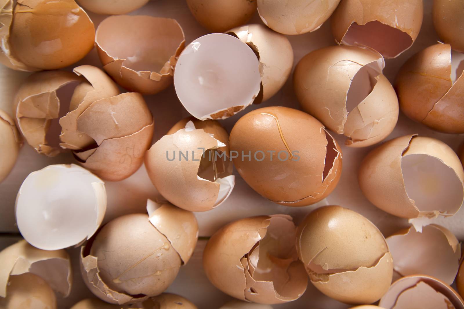 Series of broken shells of chicken eggs on white wood table