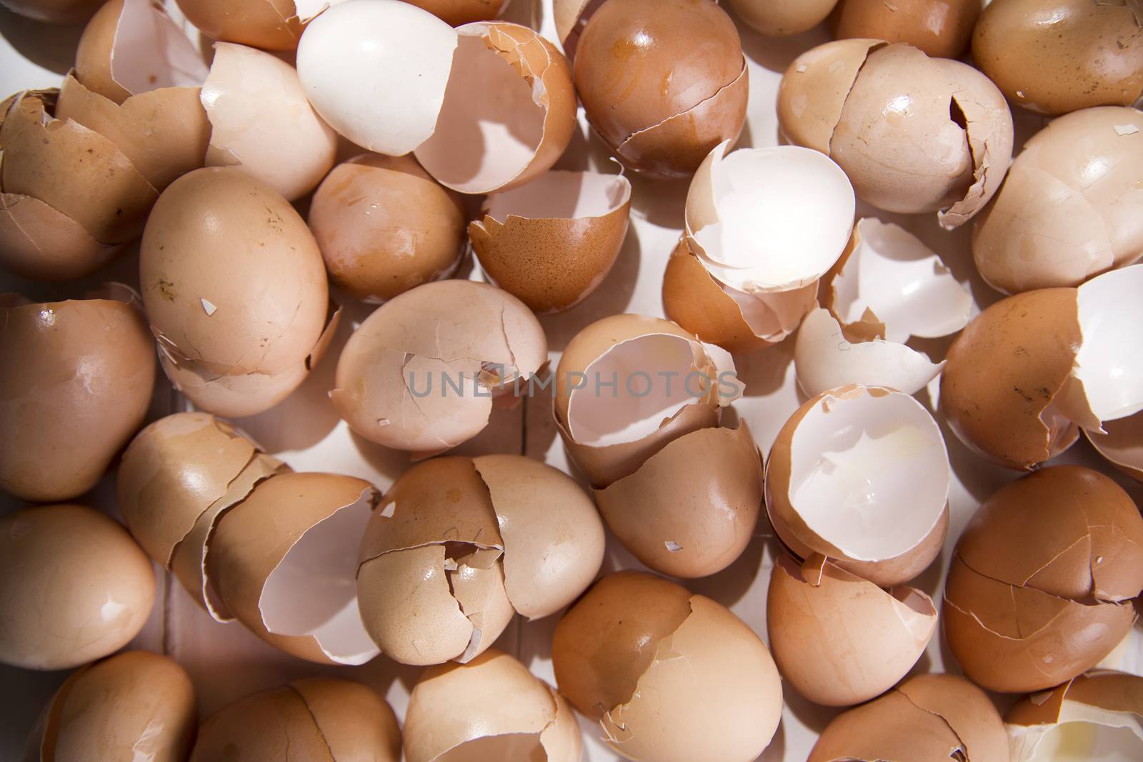 Series of broken shells of chicken eggs on white wood table