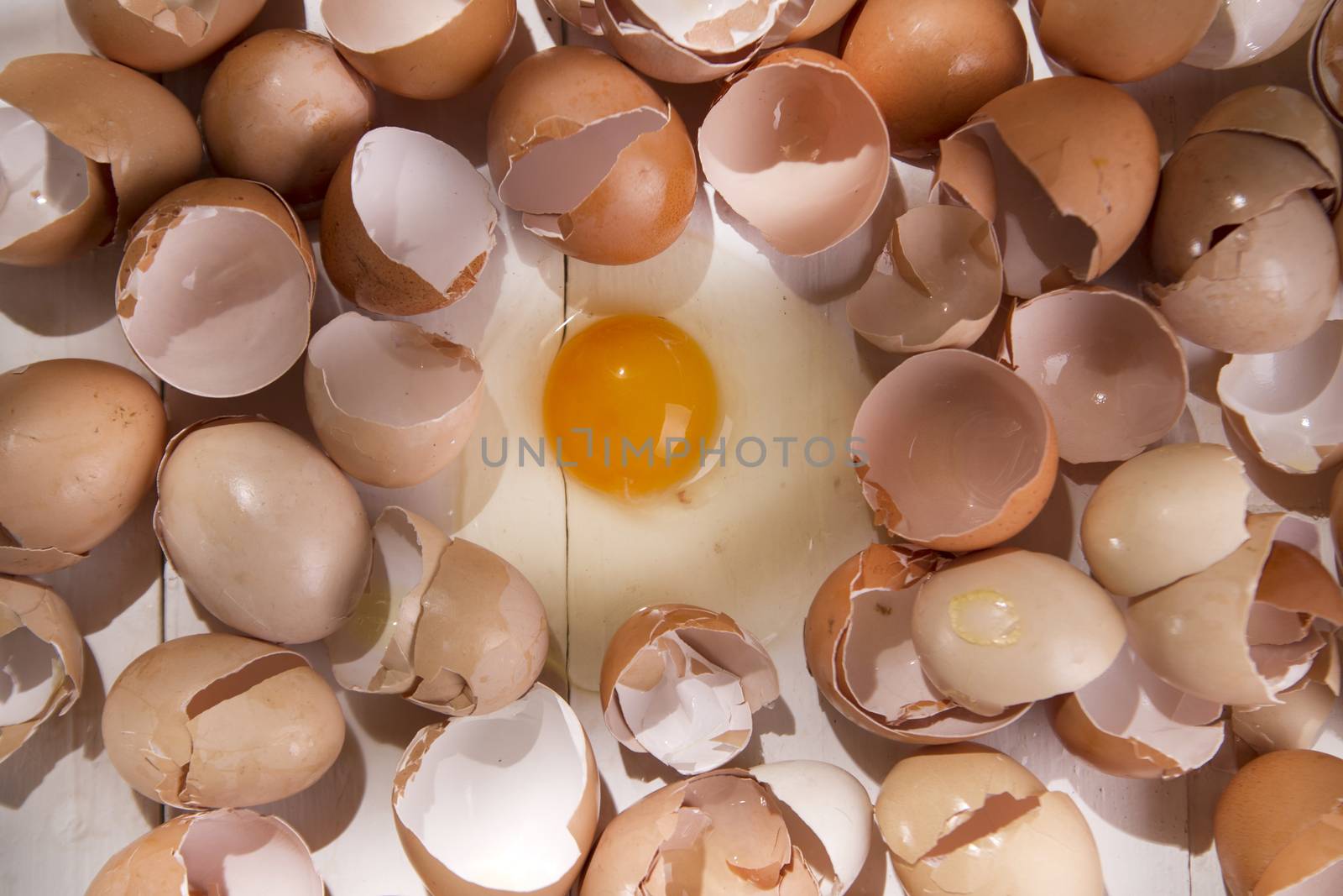 Series of broken shells of chicken eggs on white wood table
