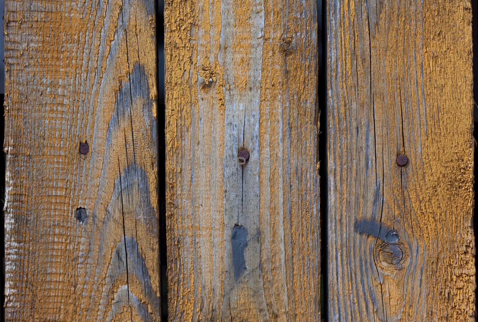 Vintage wood background with peeling paint. yellow color.