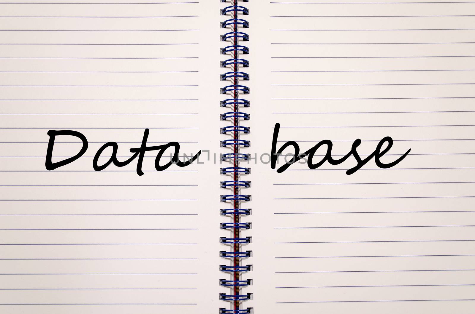 Database write on notebook by eenevski