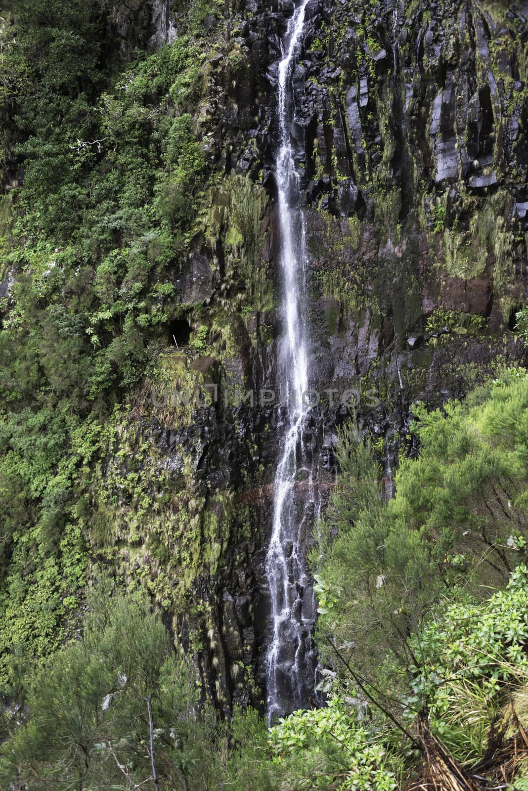 giiant waterfall called fontes risco on madeira island