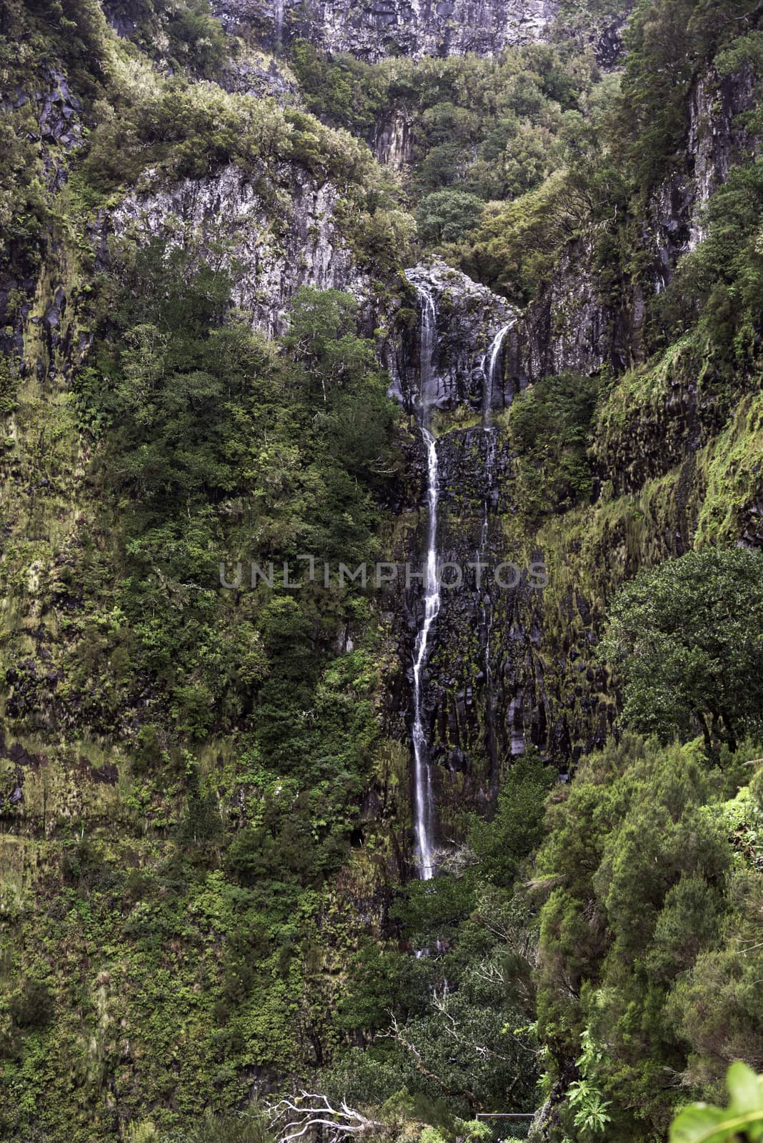 giiant waterfall called fontes risco on madeira island