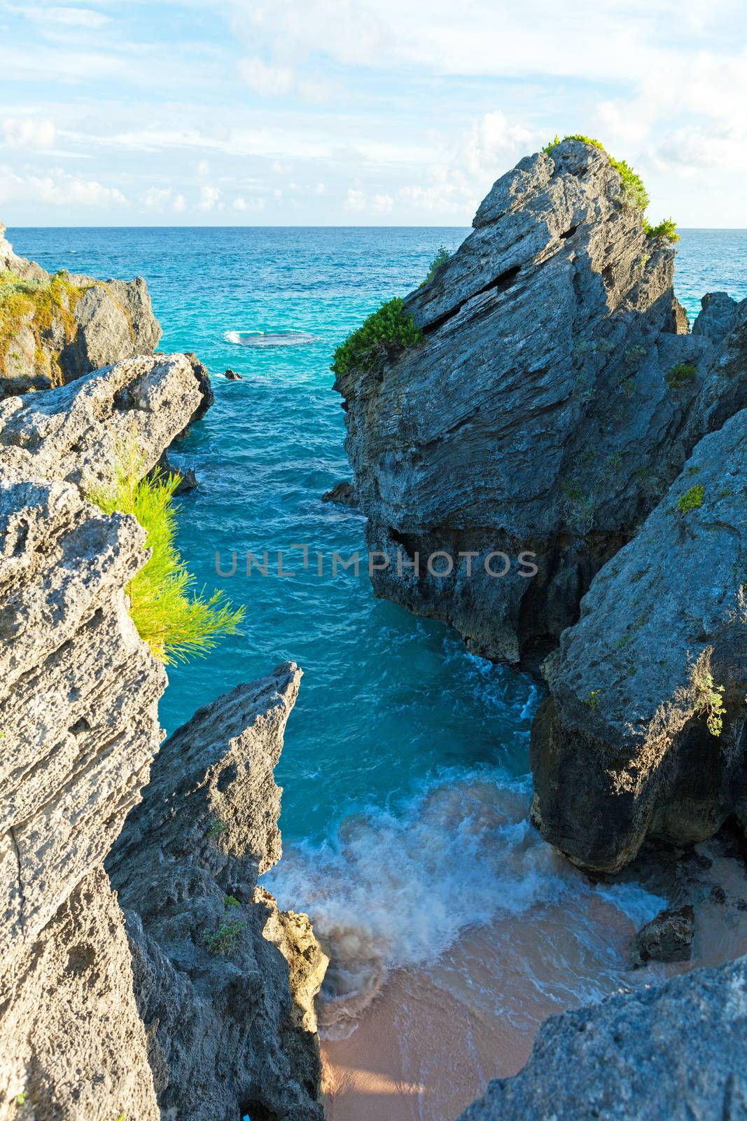 Bermuda Jobsons Cove by graficallyminded