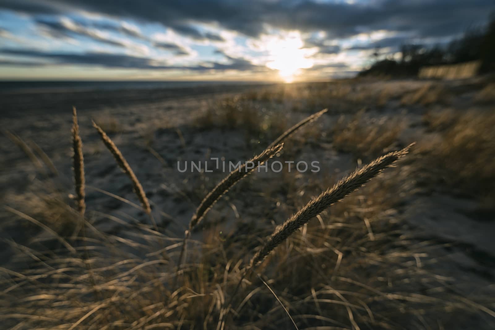 Seascape in Rhode Island, USA