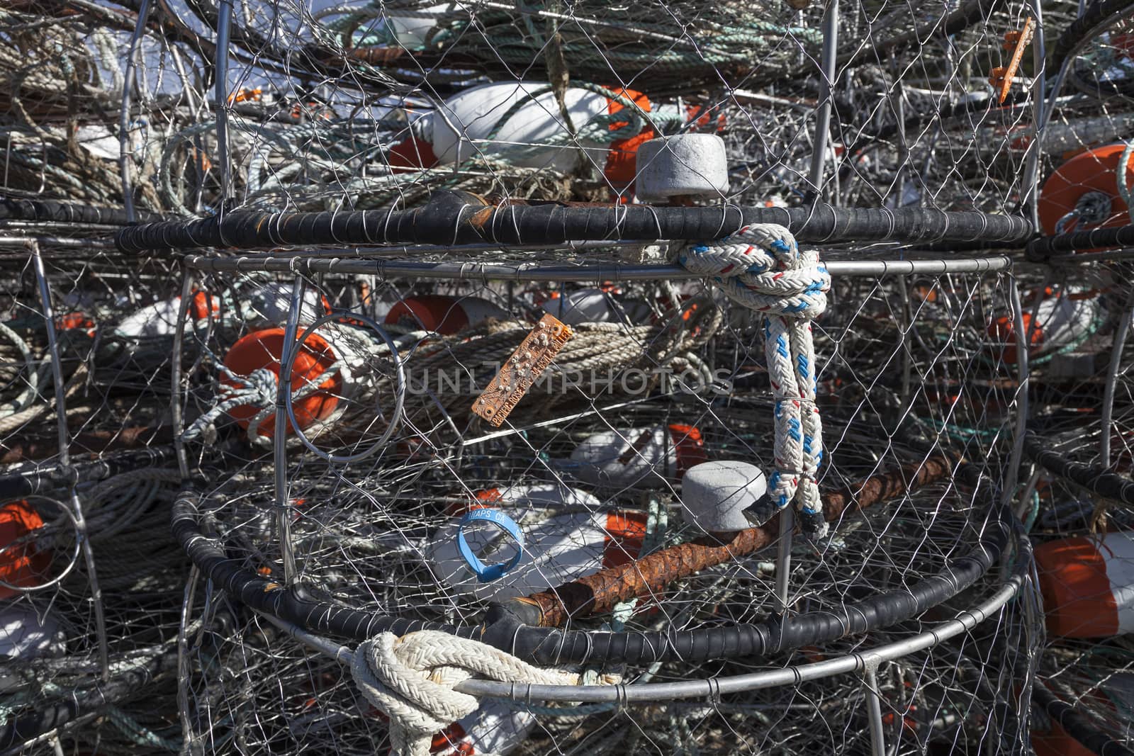 Lobster trap on Pacific shore