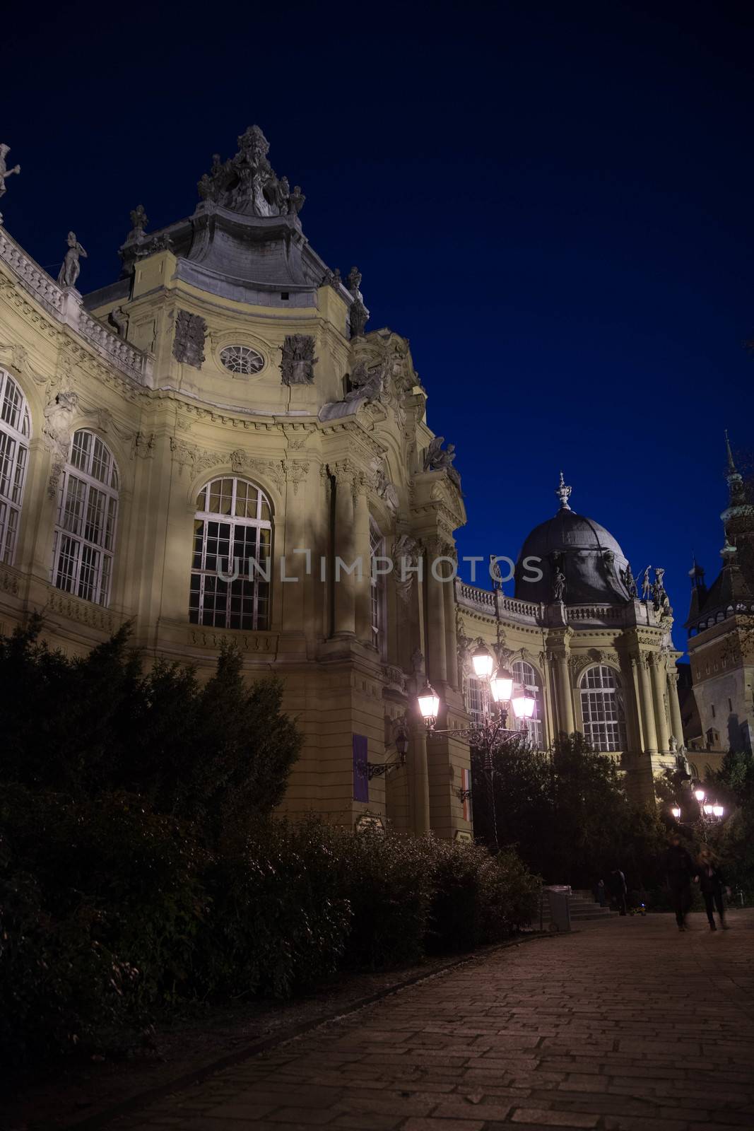 Travel in night europe Budapest city vacation