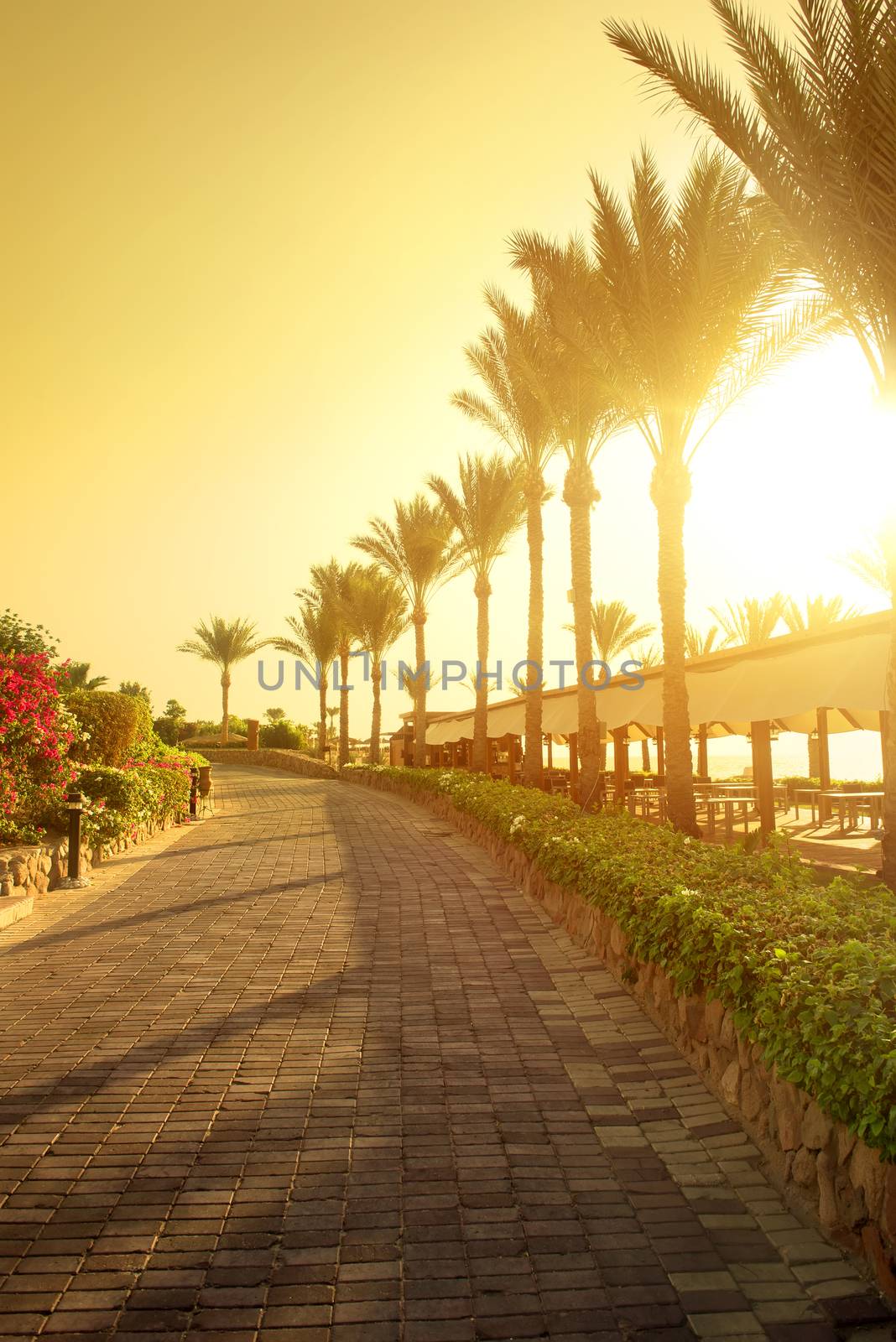 Seafront of paving stone in egyptian park