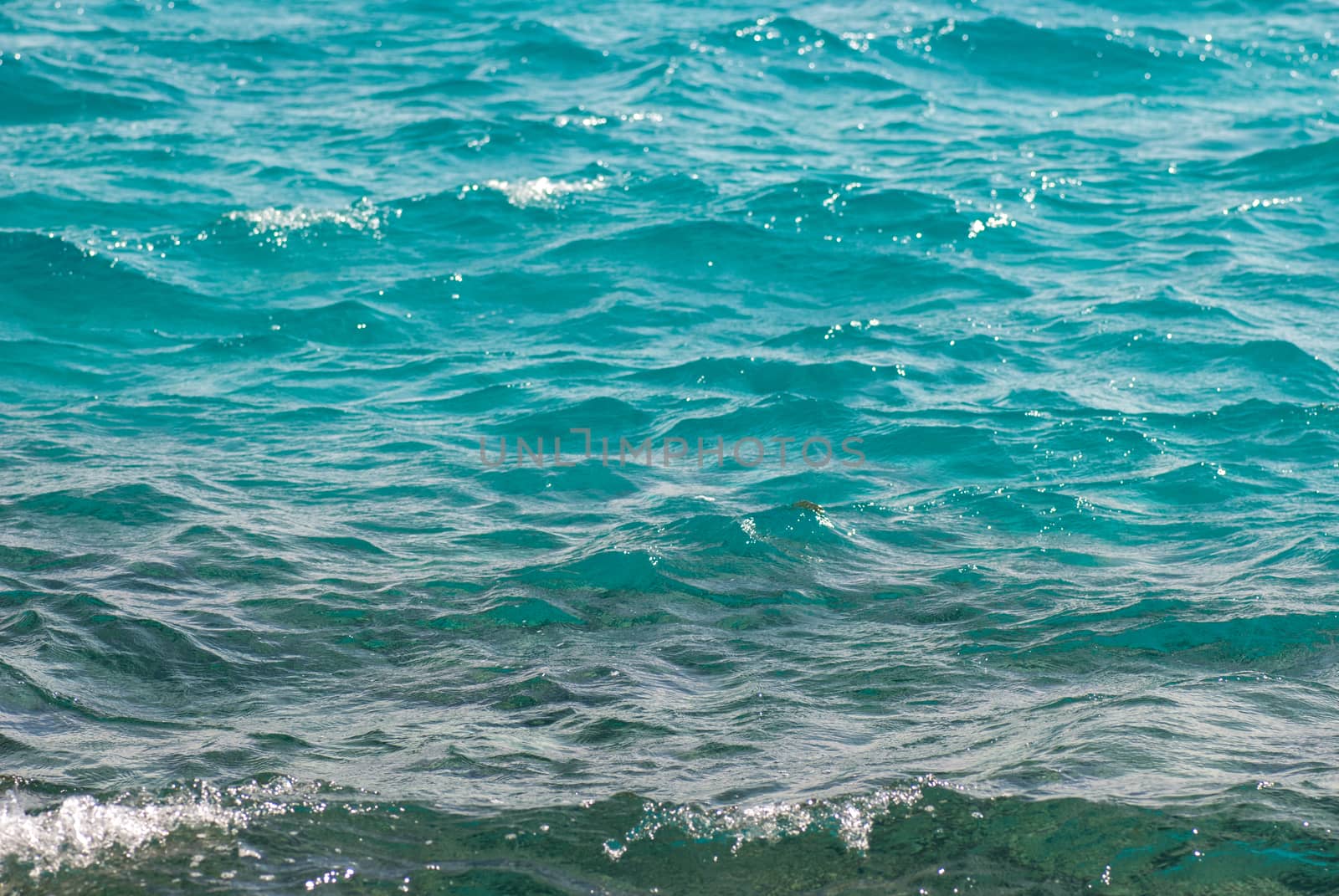 Photo closeup of beautiful clear turquoise sea ocean water surface with ripples low waves on seascape background, horizontal picture by skrotov