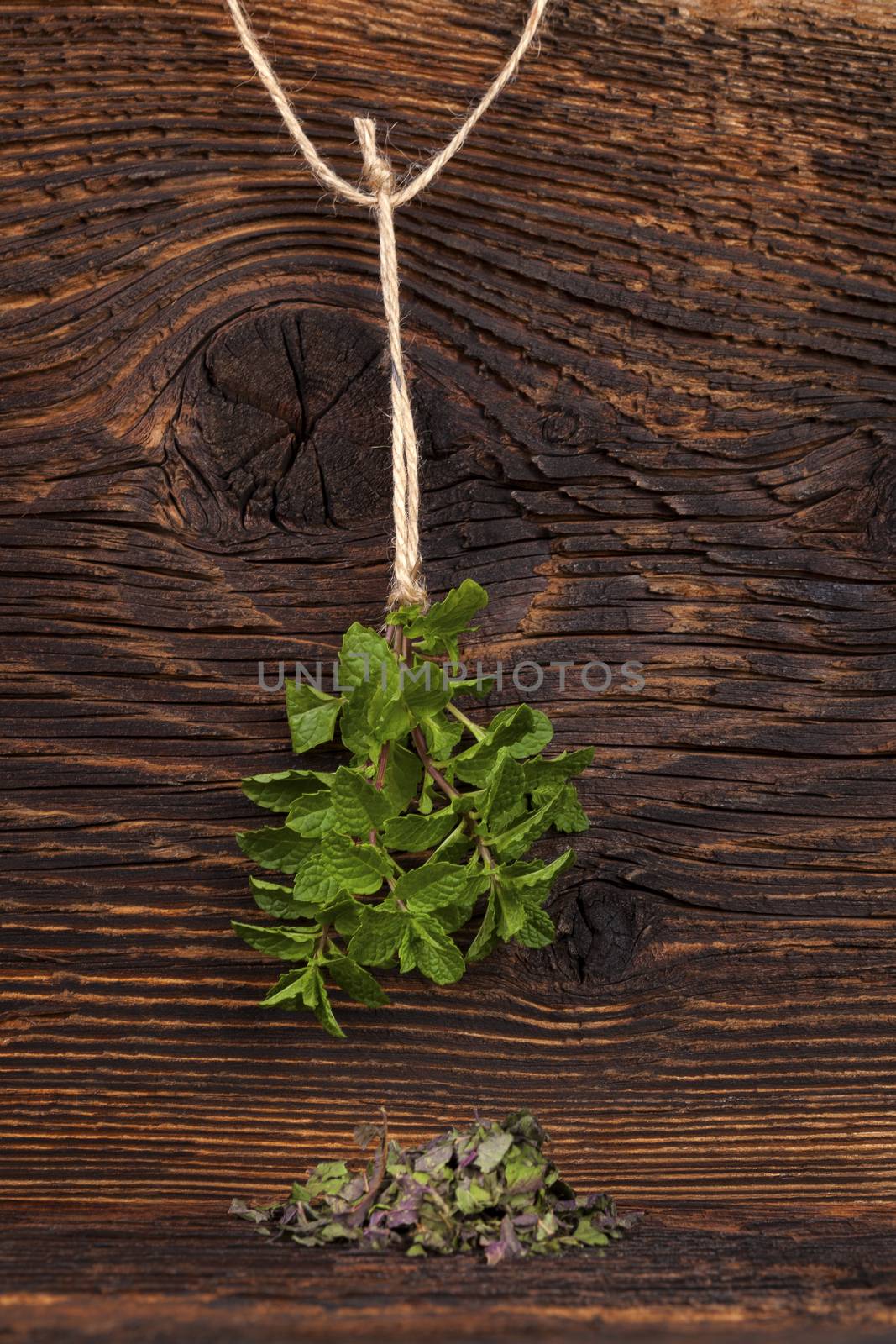 Fresh mint herb hanging on rustic wooden background and dried mint. Culinary aromatic herbs.