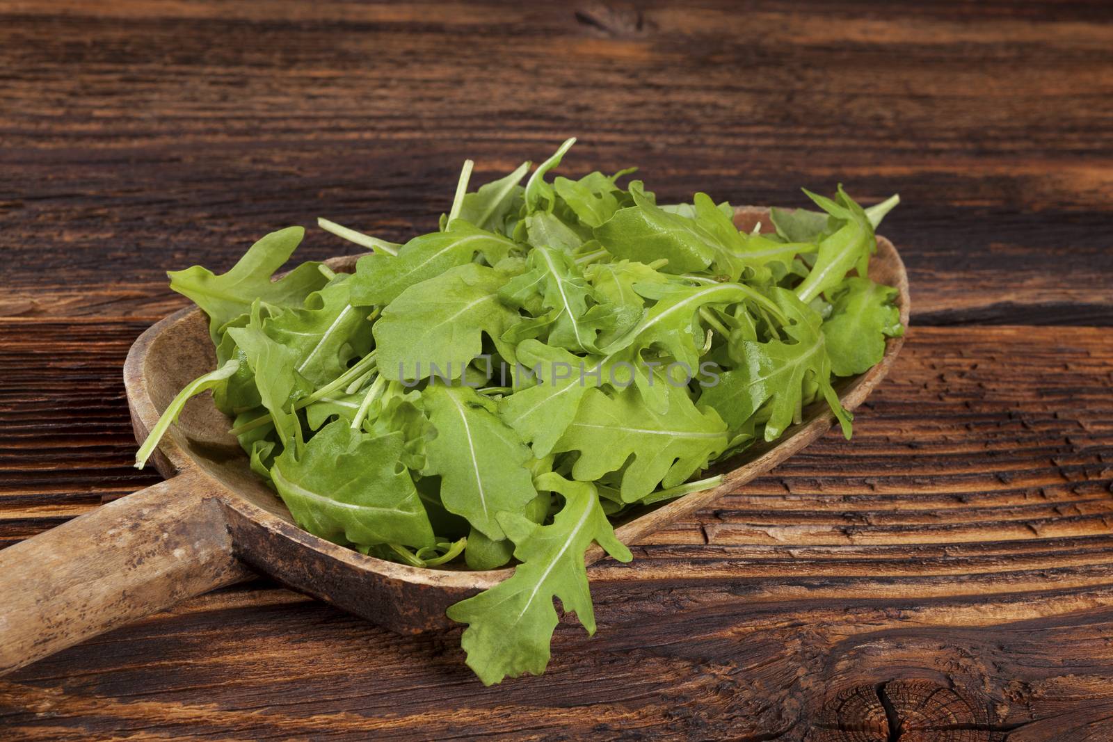 Fresh arugula salad on wooden spoon on wooden table. Healthy green salad eating. 