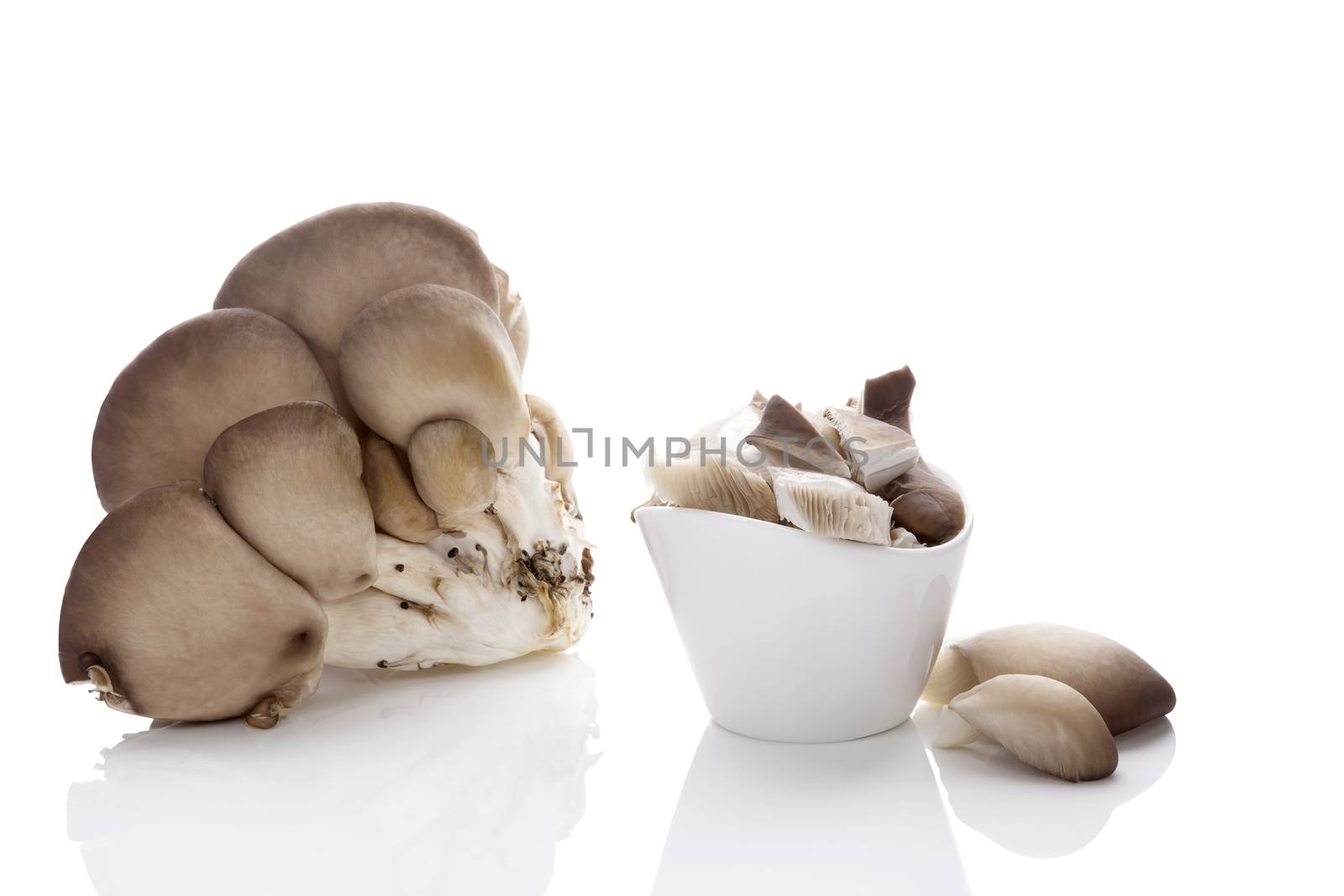 Fresh oyster mushrooms isolated on white background. 