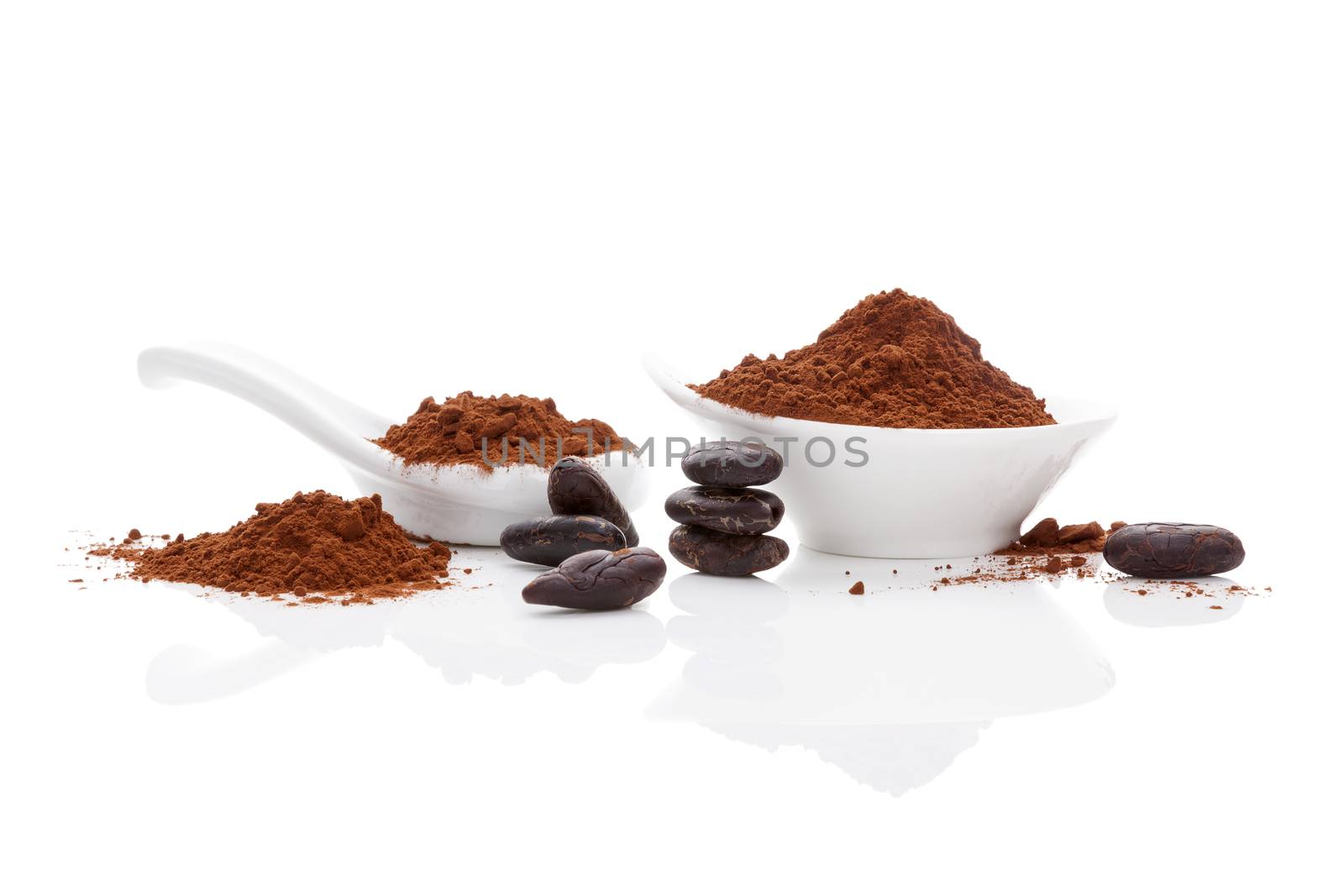 Cocoa beans and cocoa powder in white bowl and white spoon on white background. Healthy superfood.