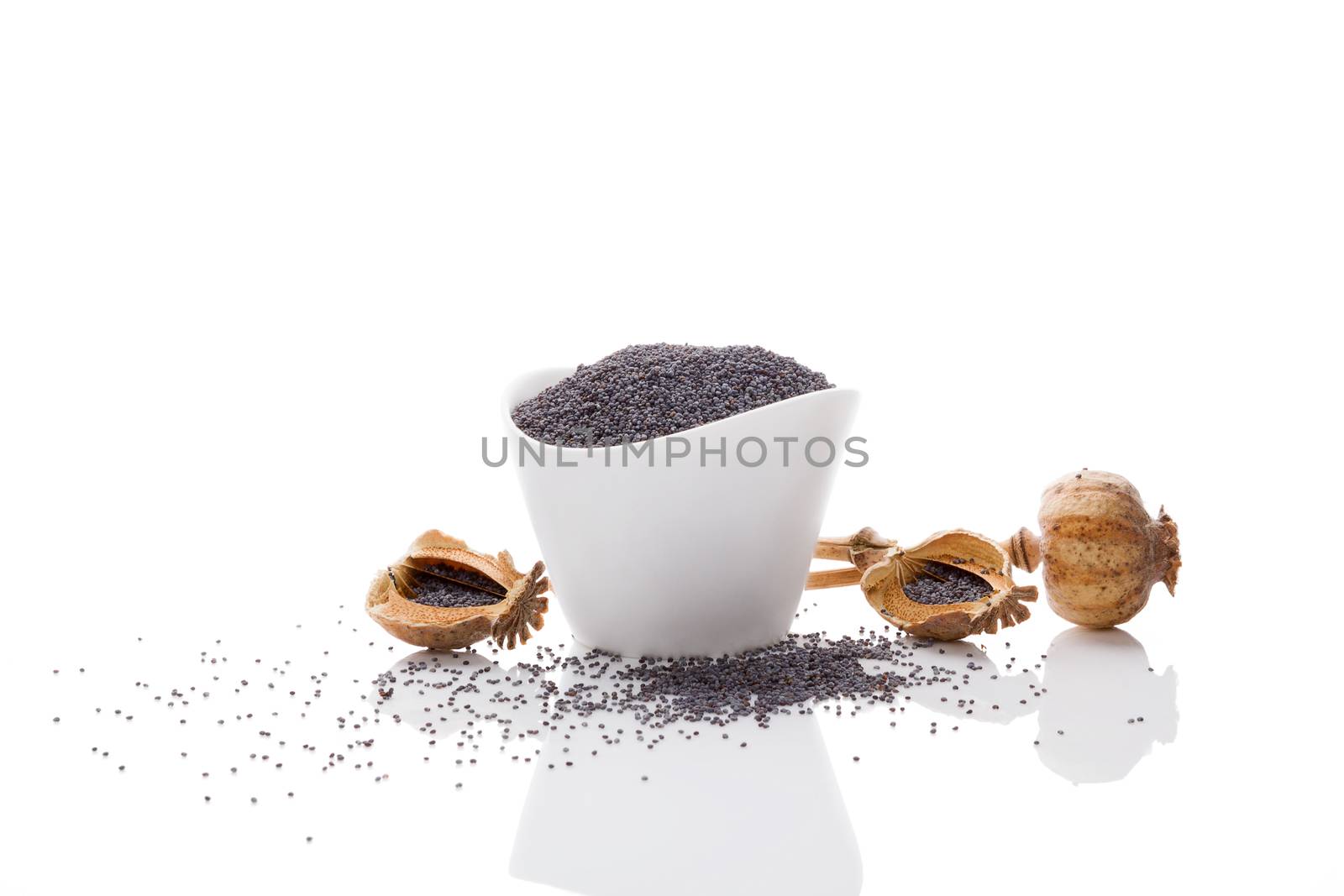 Poppy seeds in white bowl isolated on white background. 