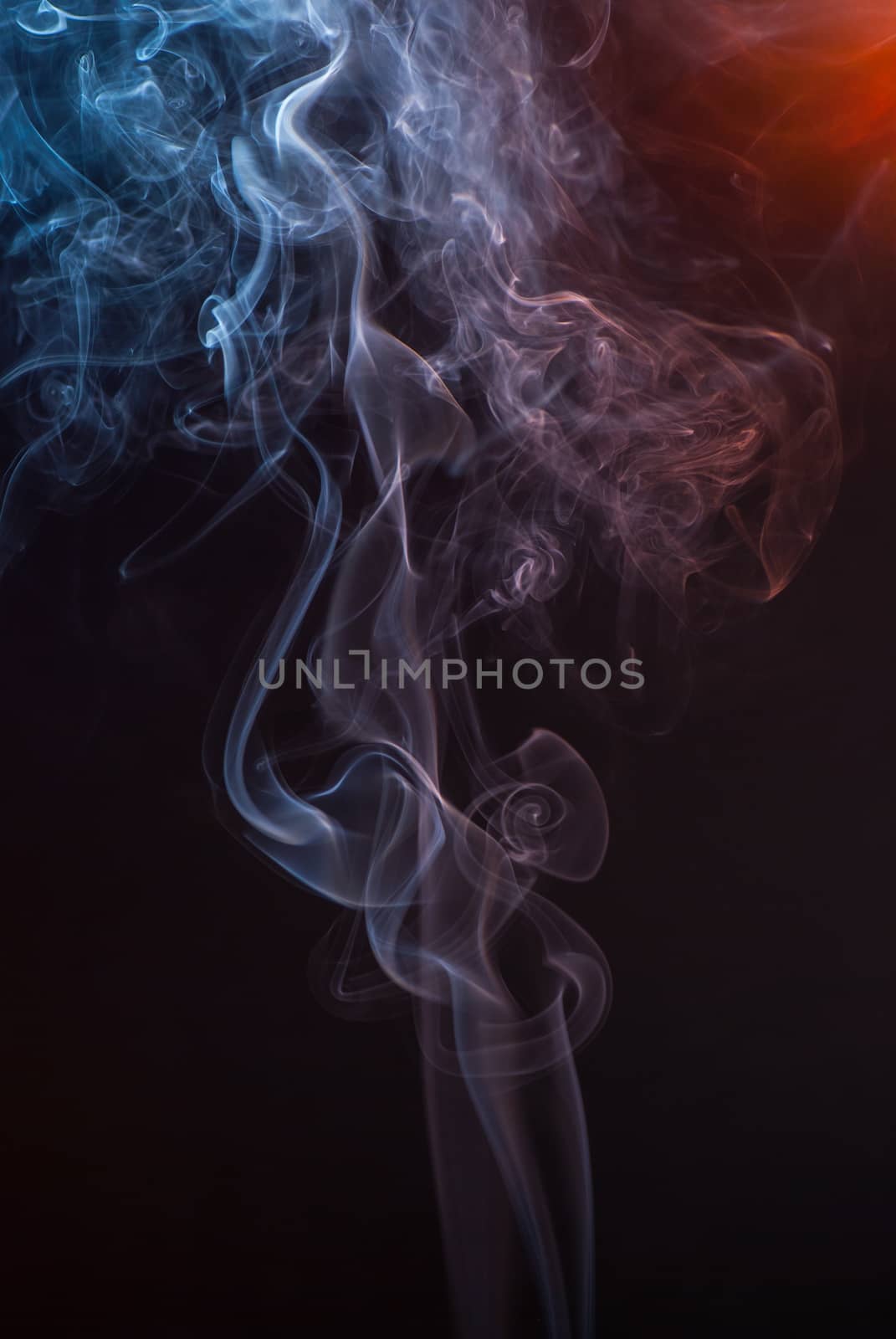Beautiful smoke on the black background - macro photo.