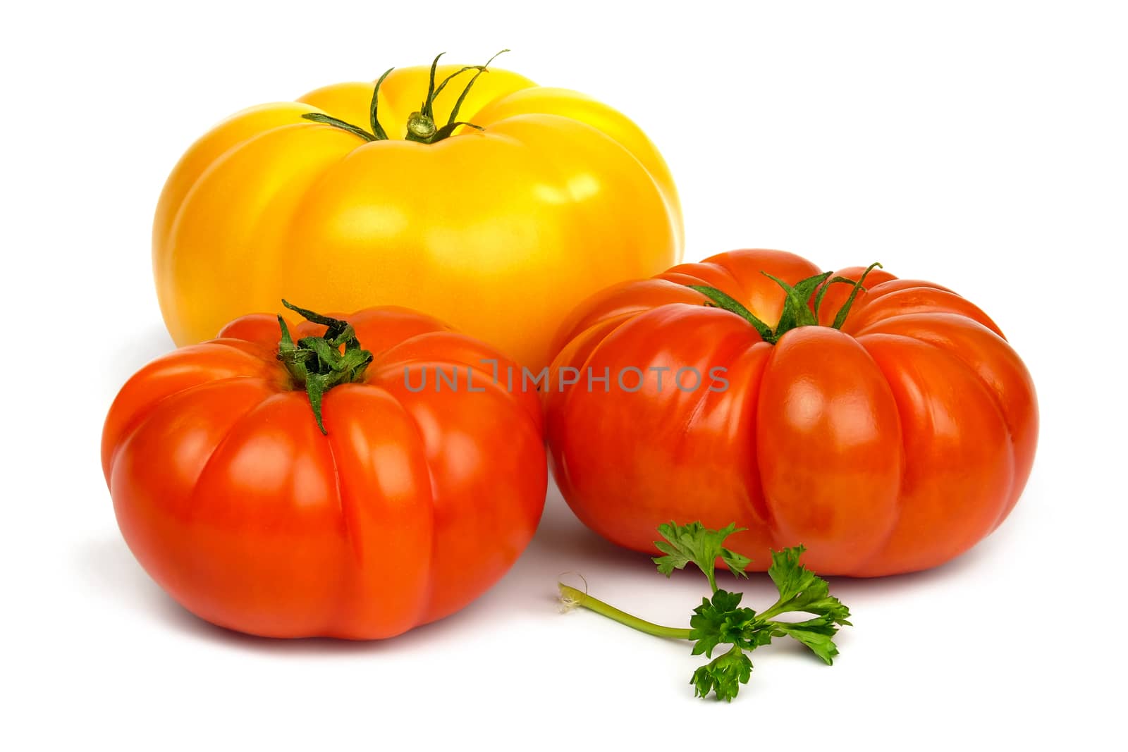 Fresh ripe red and yelloy tomatoes and a sprig of parsley  isolated on white background.