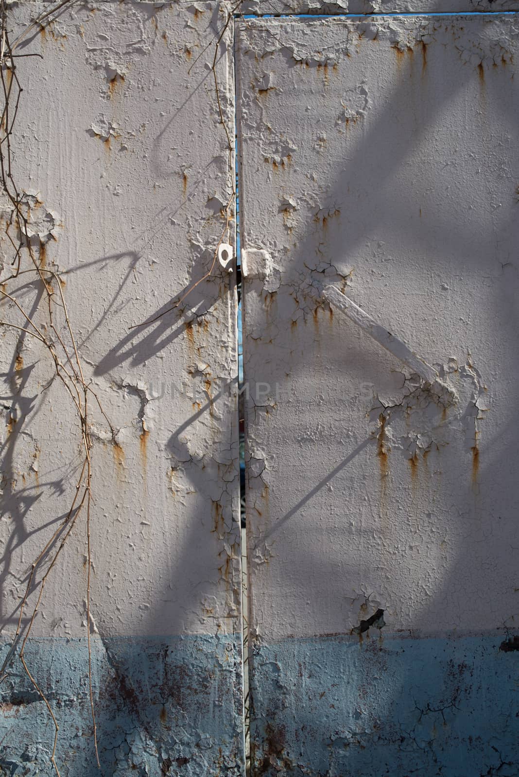 Rust rusty corroded oxidize colorful door used metal sheet plate pattern wallpaper crack grunge abstract aged background iron artistic wall flaking peeling paint.