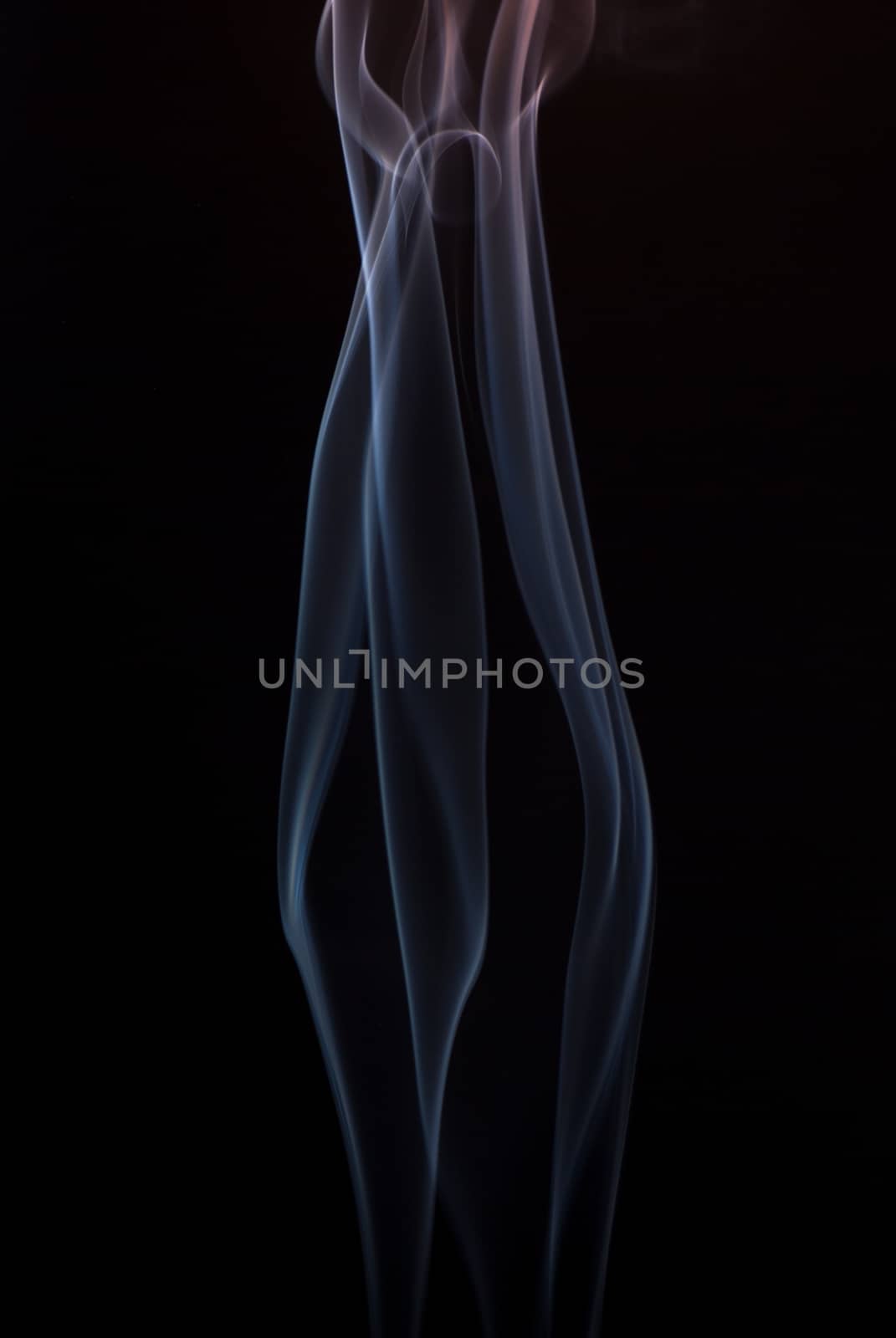 Beautiful smoke on the black background - macro photo.