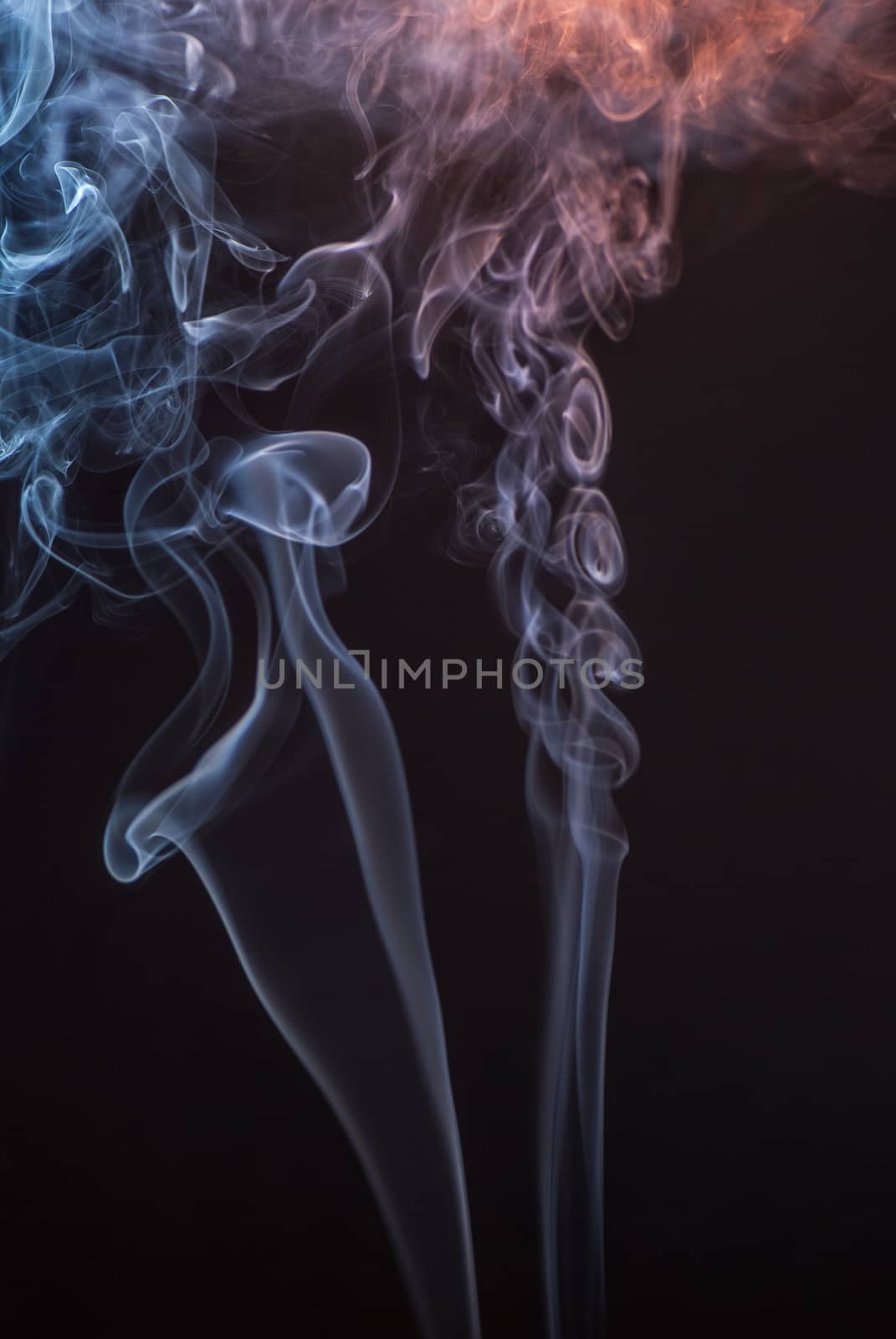 Beautiful smoke on the black background - macro photo.