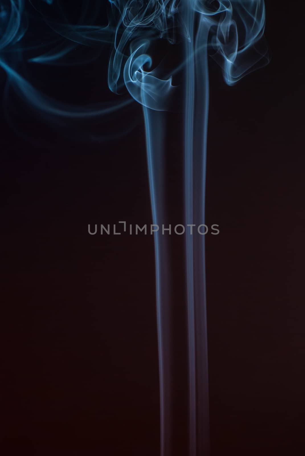 Beautiful smoke on the black background - macro photo.