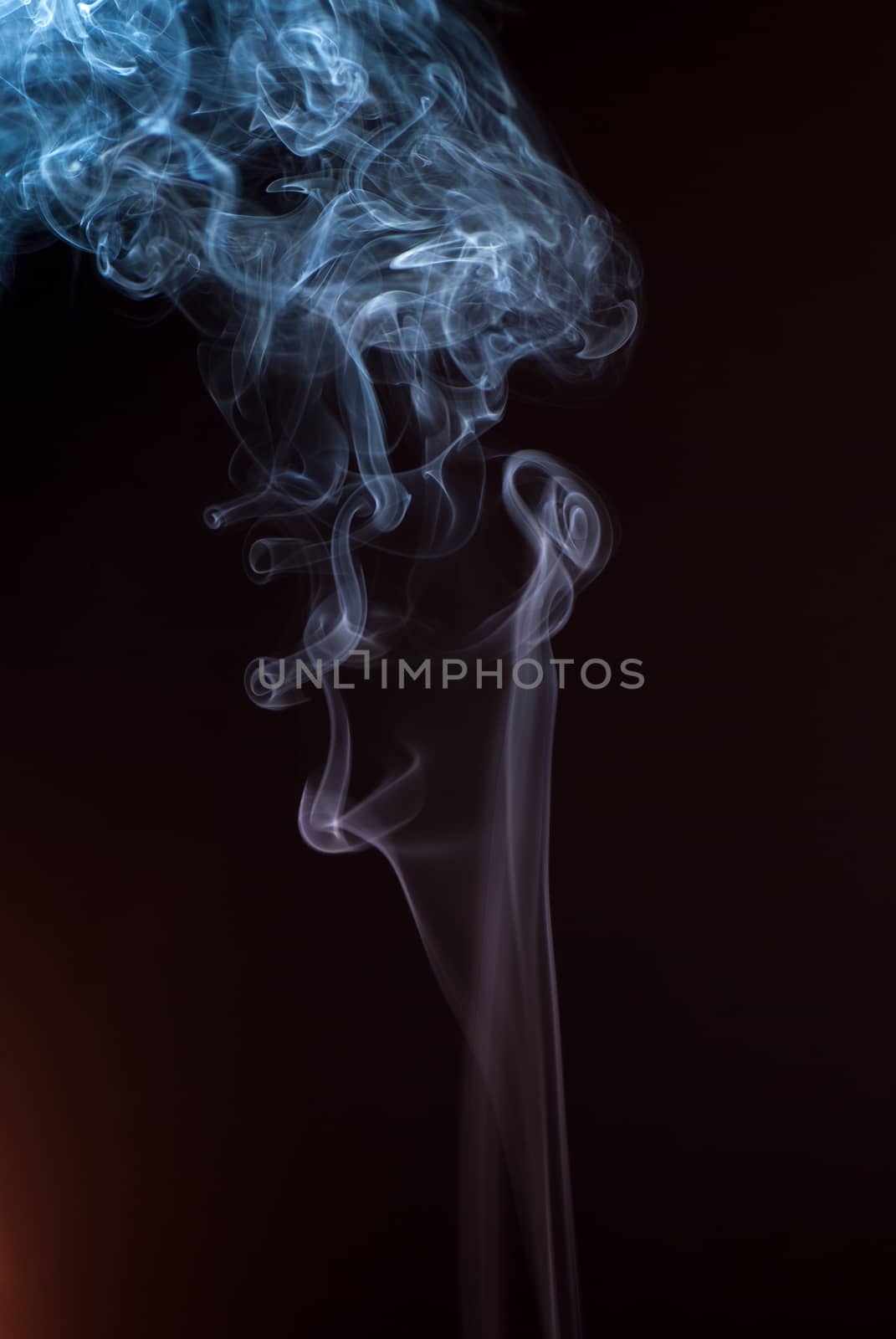 Beautiful smoke on the black background - macro photo.