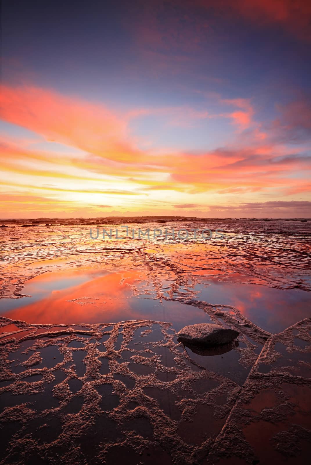 Vertical views across the vast rockshelf of Long Reef at low tide during a vivid sunrise with reflections of the sky in the wet rocks exposed. Lone fisherman at horizon gives dimension to space. Orientation suitable for magazine or vertical brochure.