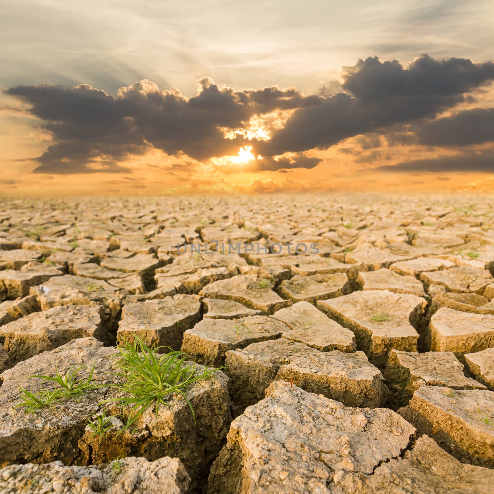 Global warming concept. drought land under the evening sunset