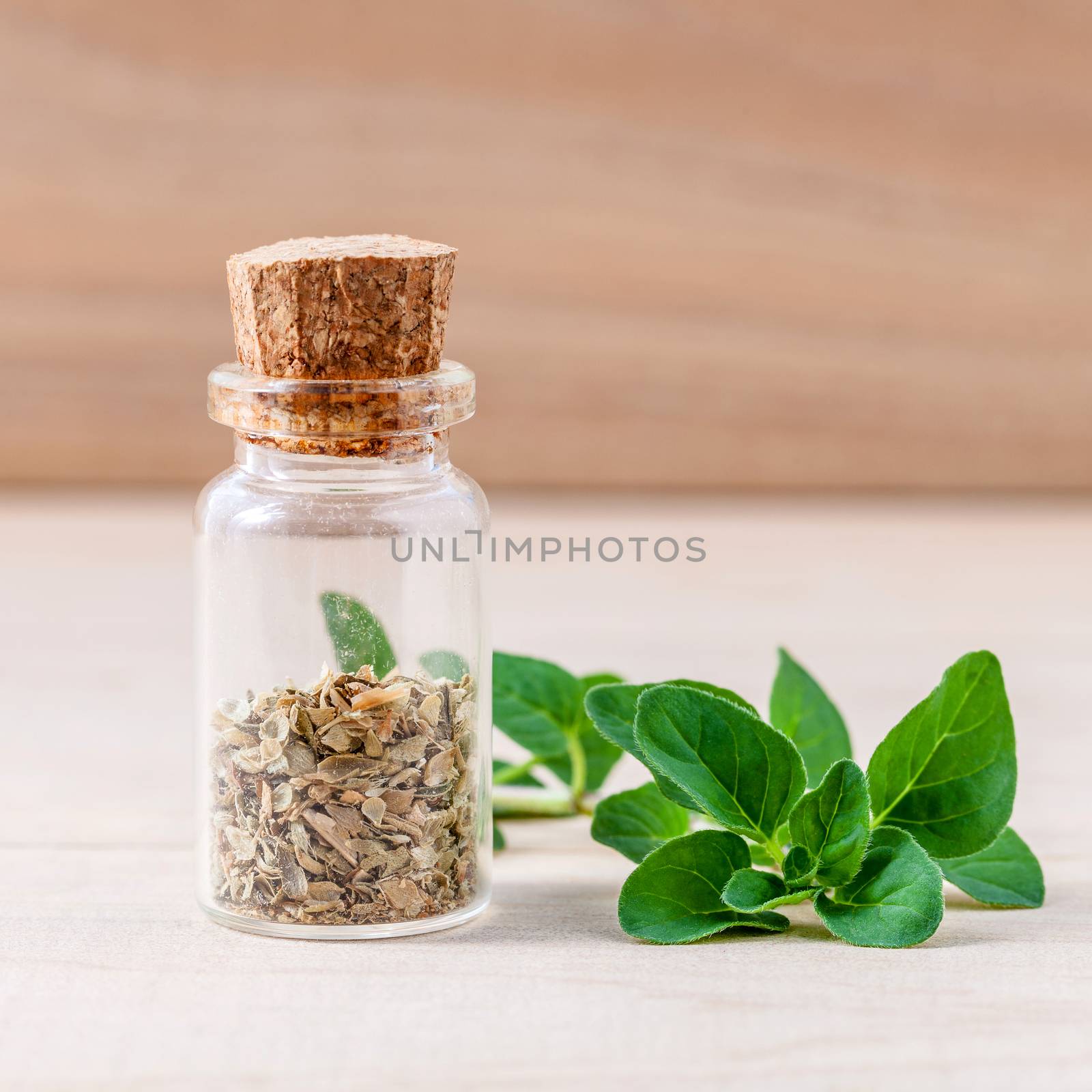 Fresh oregano and oregano dried in a the bottle with shallow dep by kerdkanno