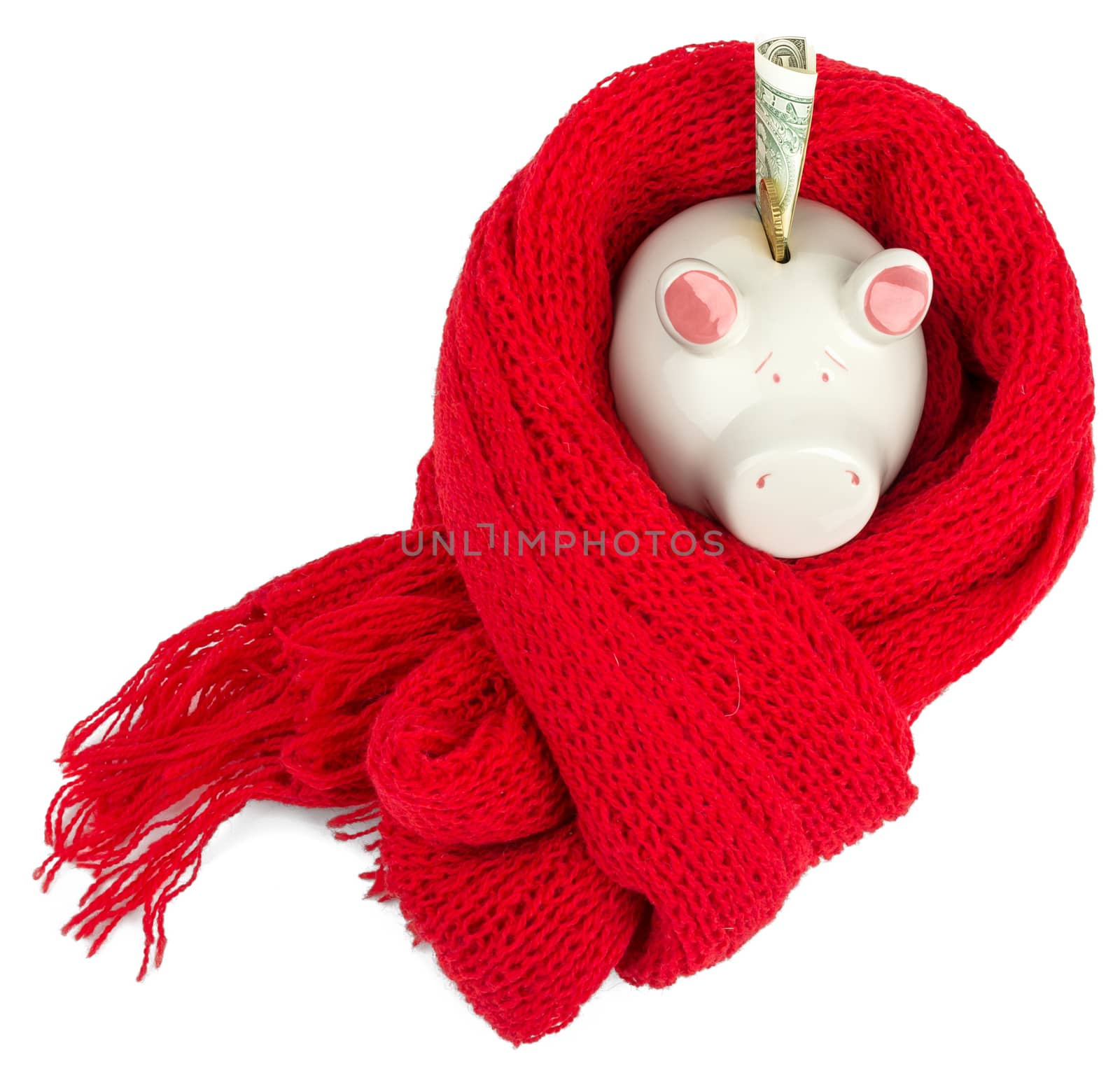 Piggy bank with red scarf and dollar. Business concept